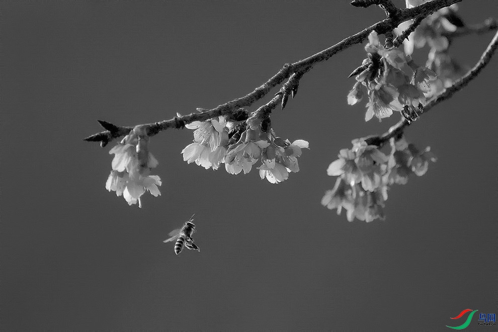 DSC_1250.JPG