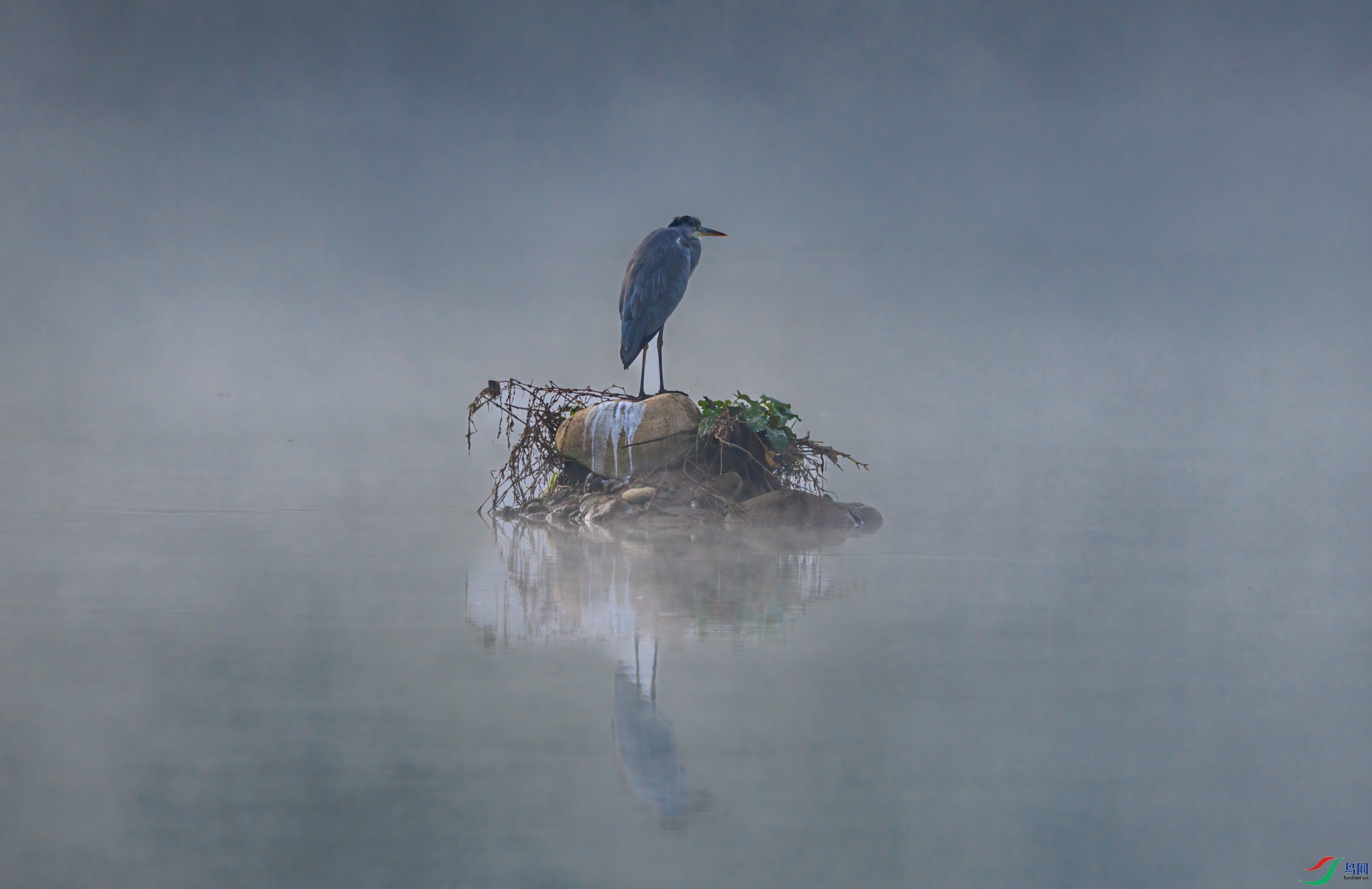 �⾳����1M5A4141.jpg