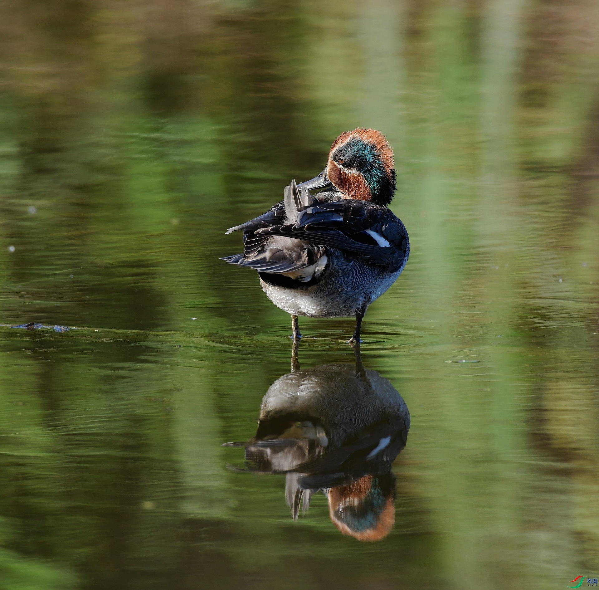 DSC_4435.jpg