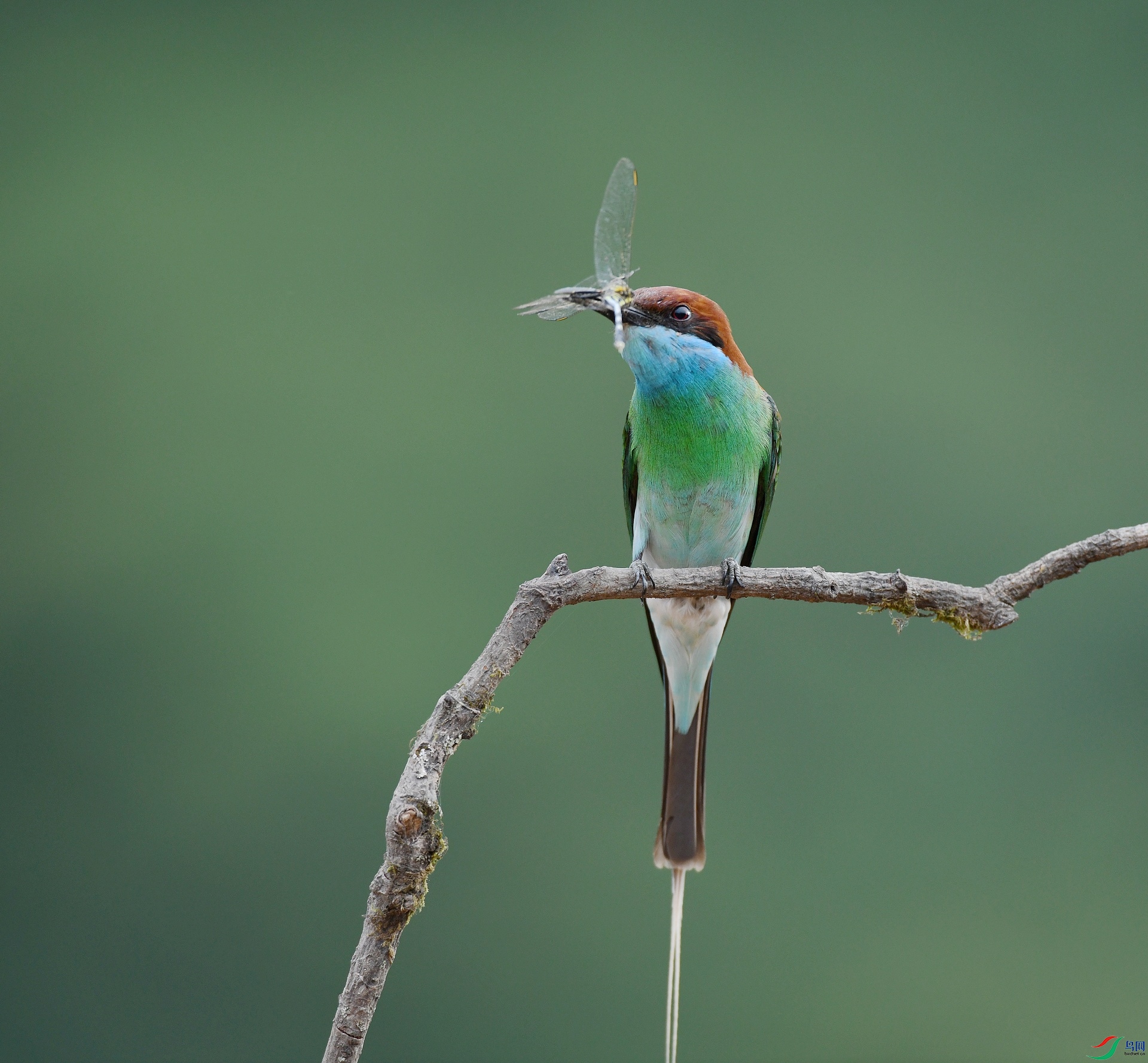 DSC_0745.jpg