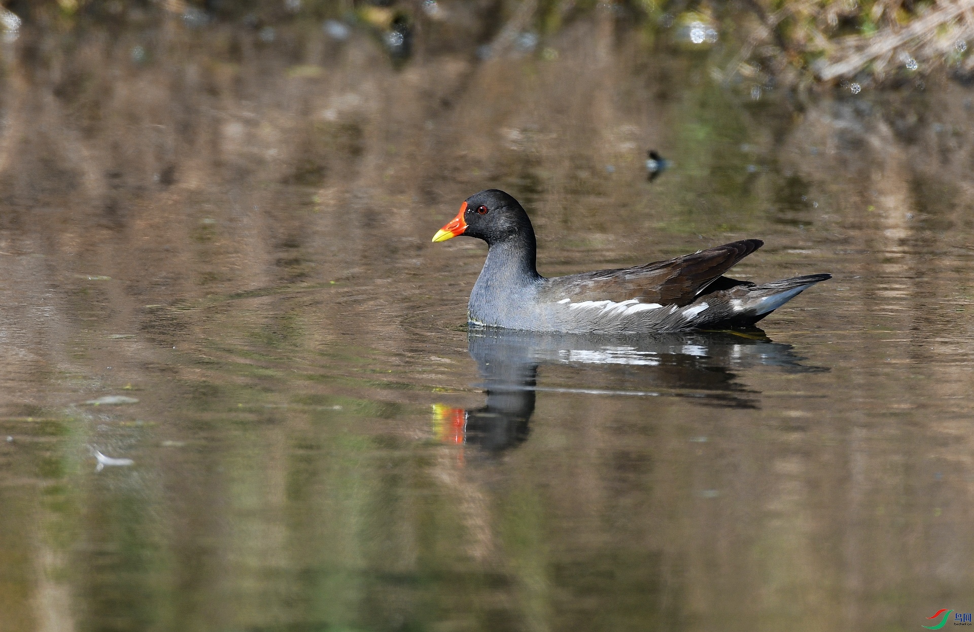 DSC_7039.jpg