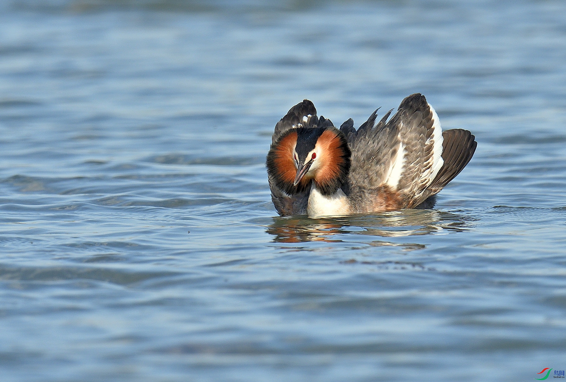 DSC_3901.JPG