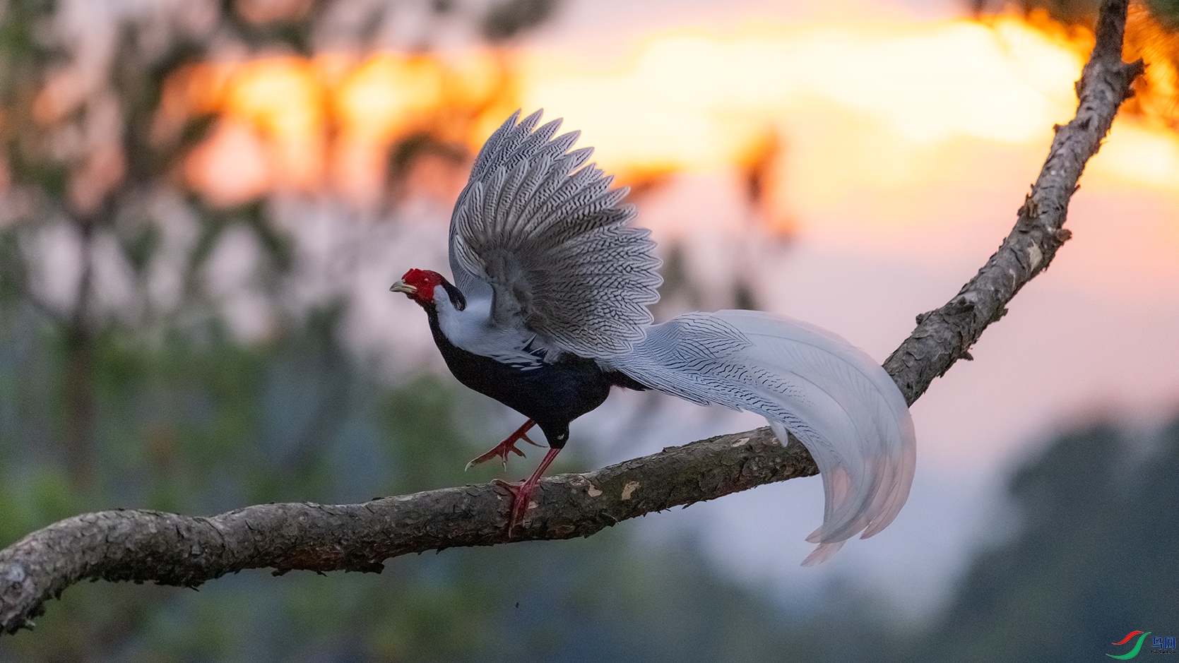 _DSC1215 ����.jpg