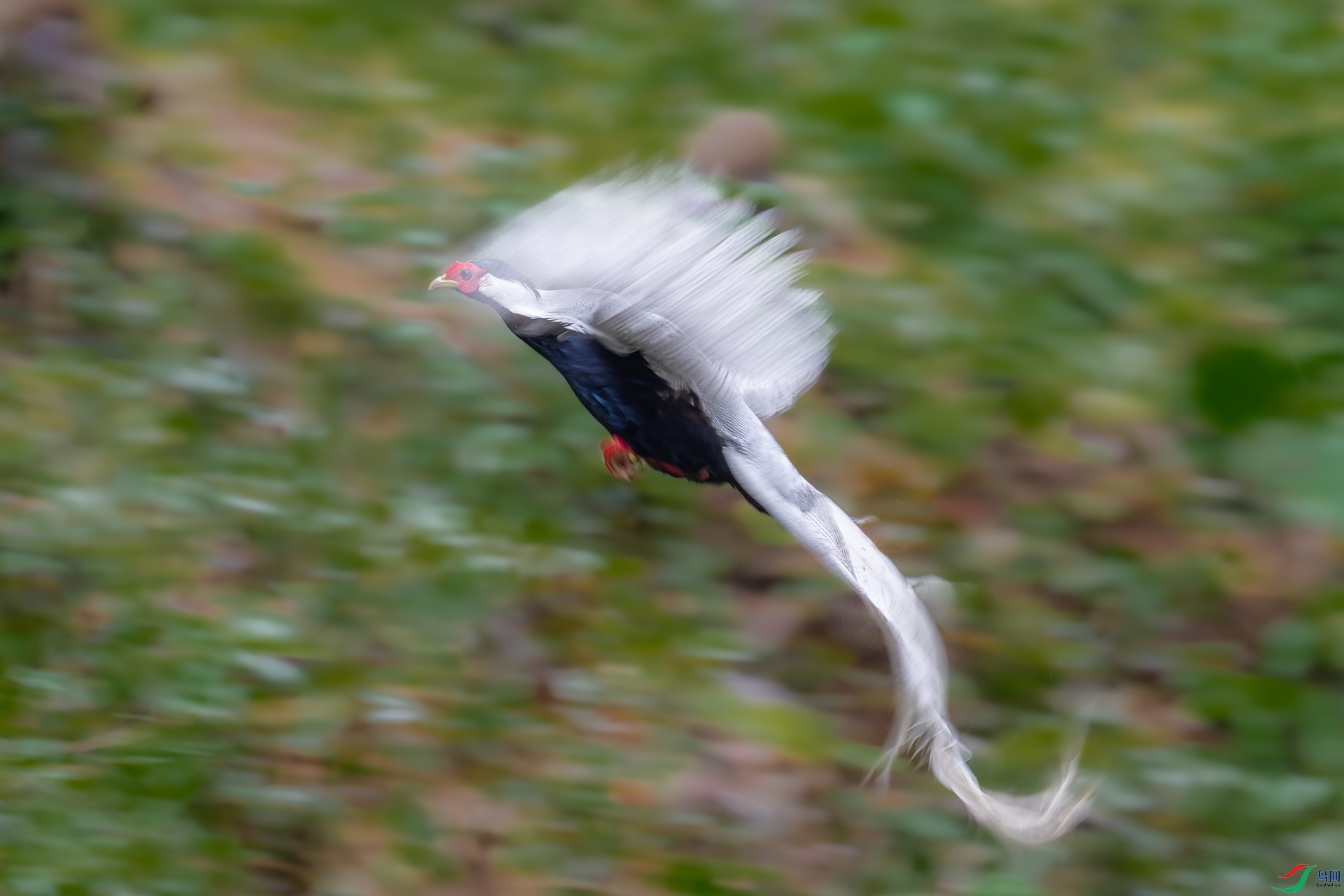 DSC1603.jpg