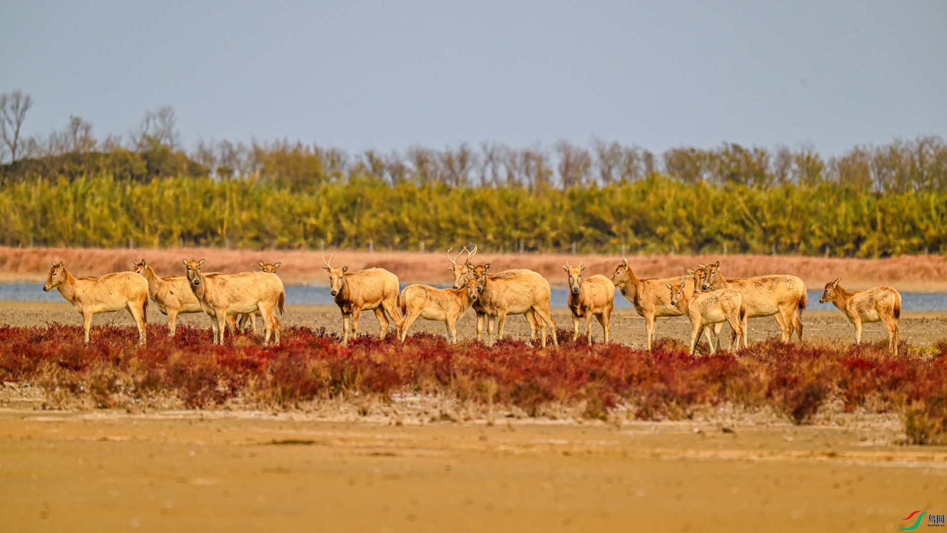 DSC_4168_����.jpg