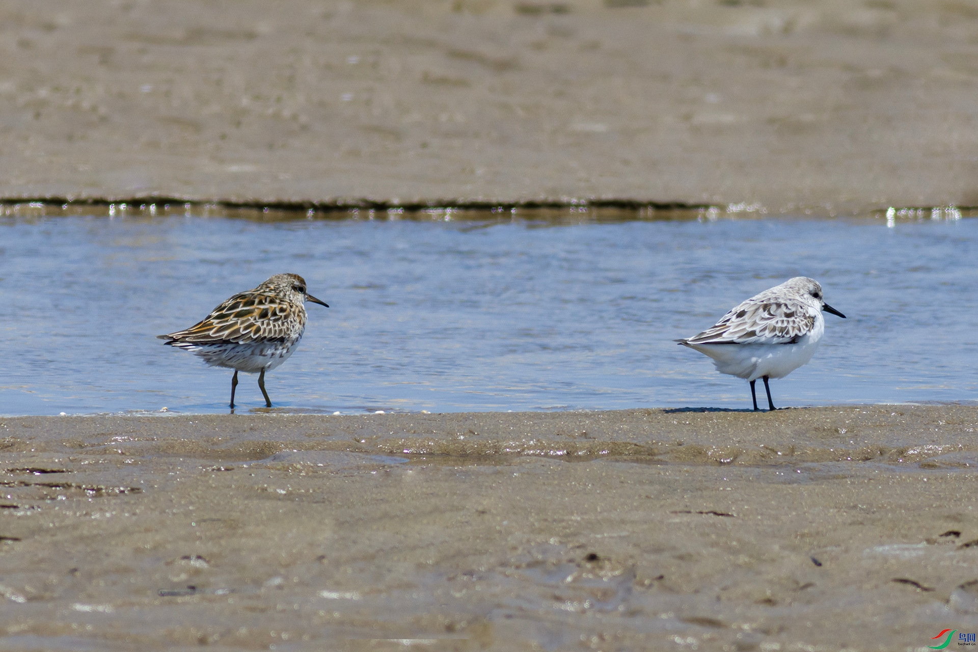 2H6A4472 ����_����.jpg