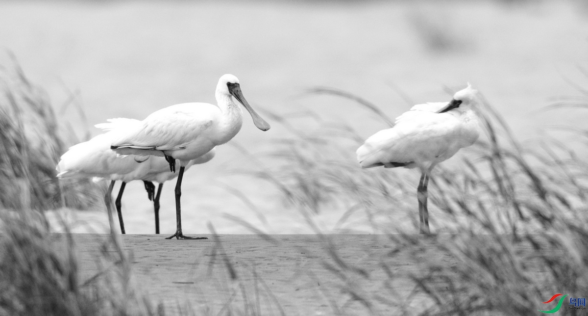 _DSC5493zzzz_������С.jpg