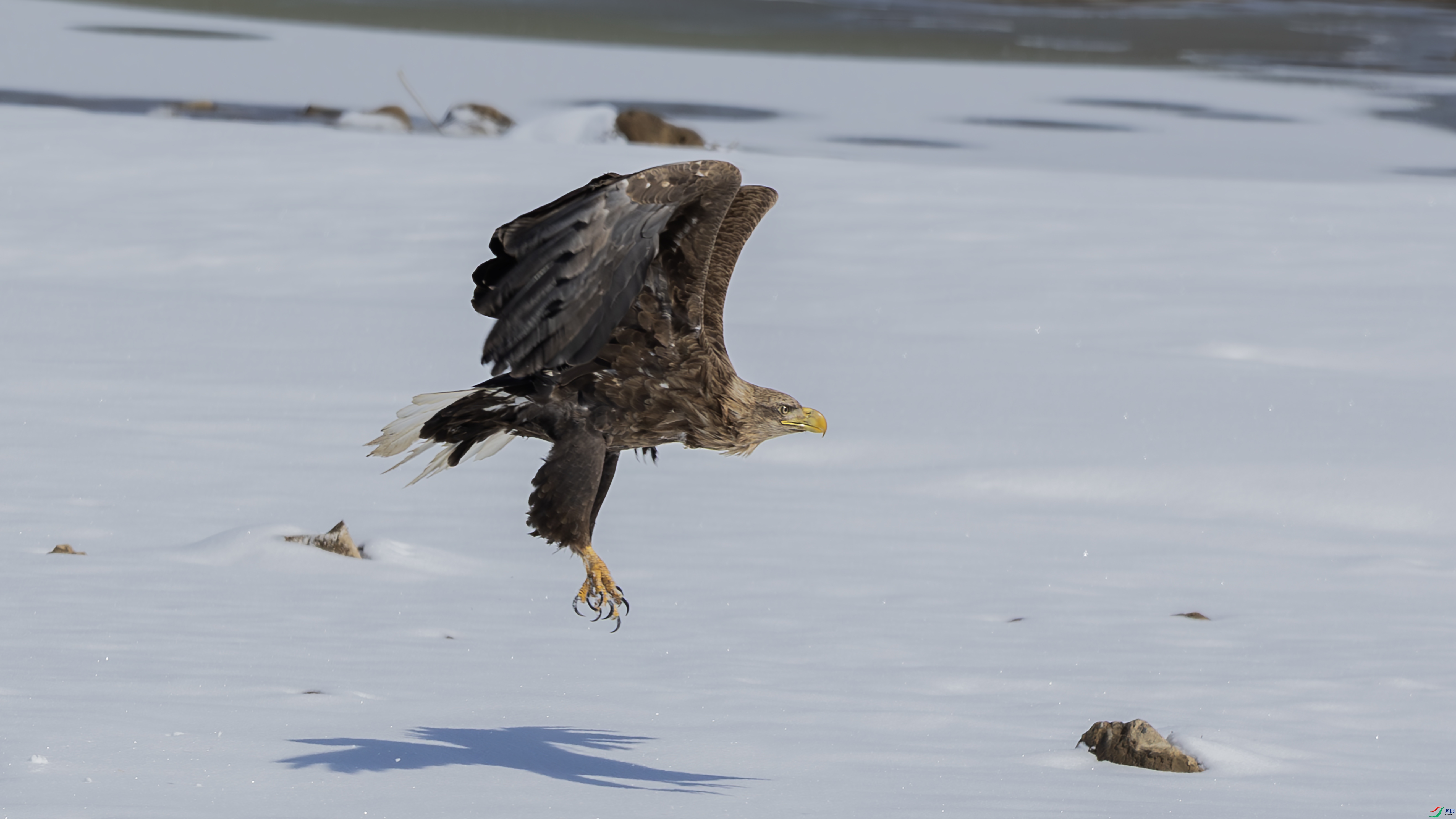 _O7A1572-����ǿ-NR ����.jpg