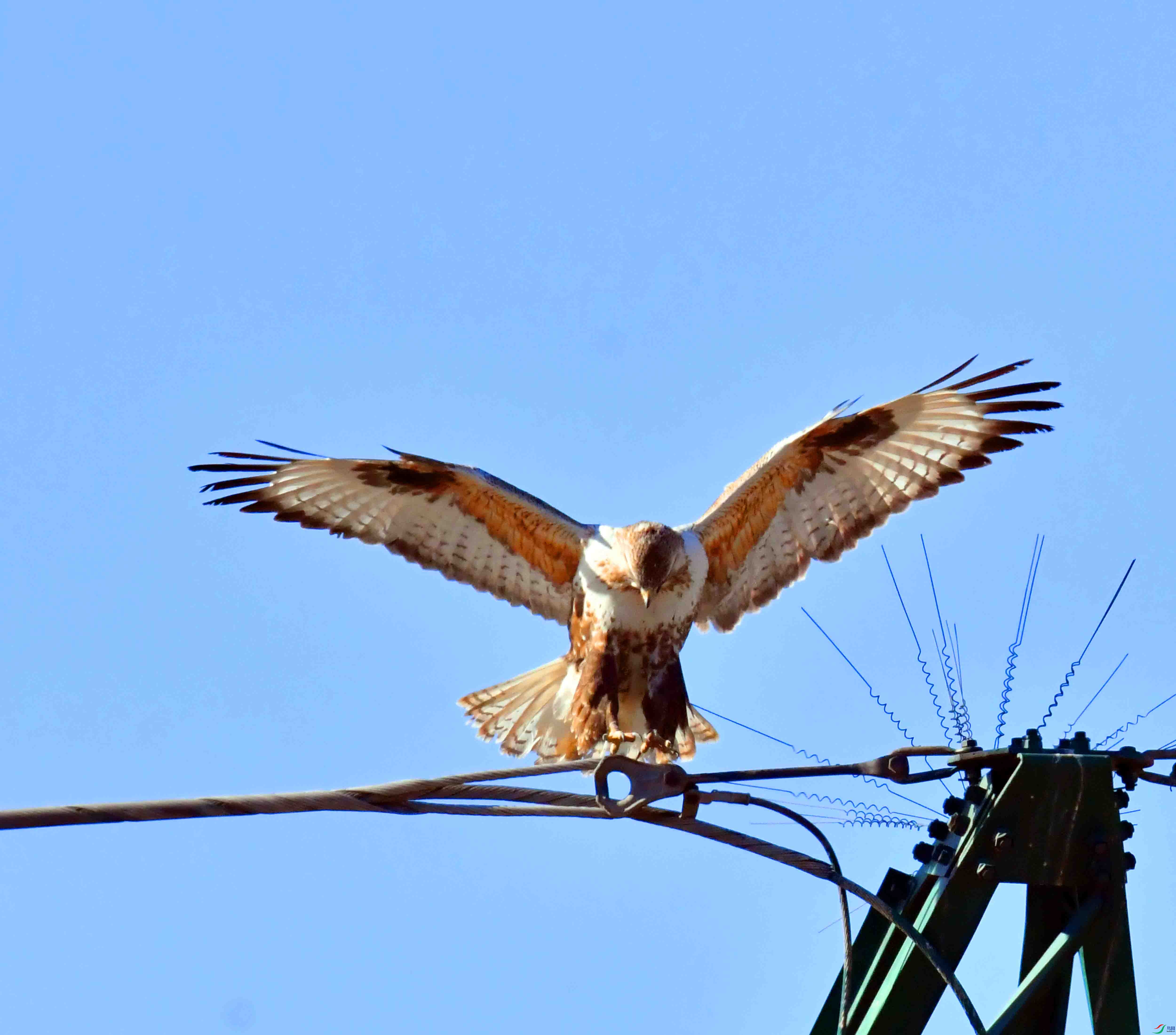 DSC_2924.JPG
