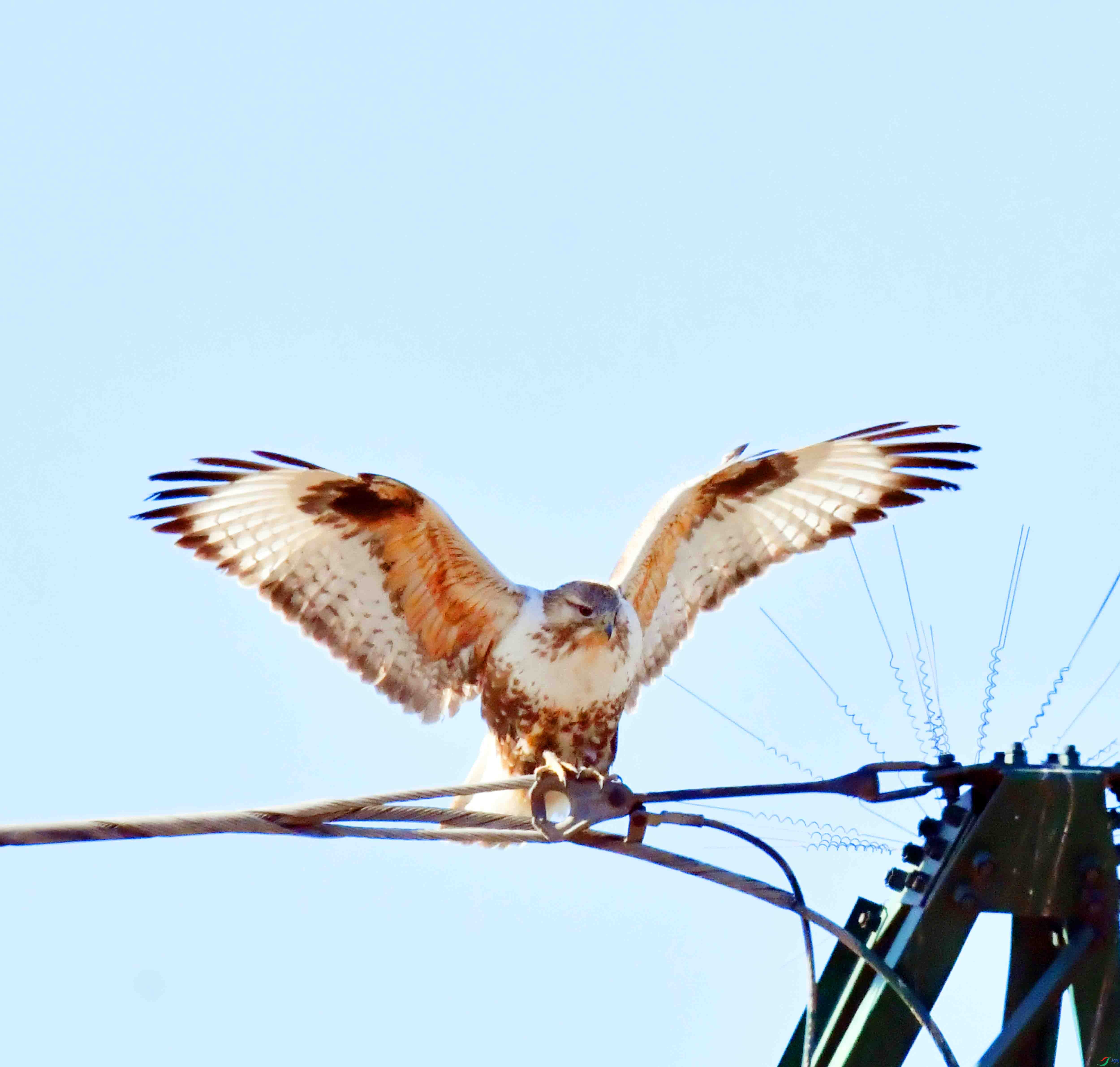 DSC_2926.JPG