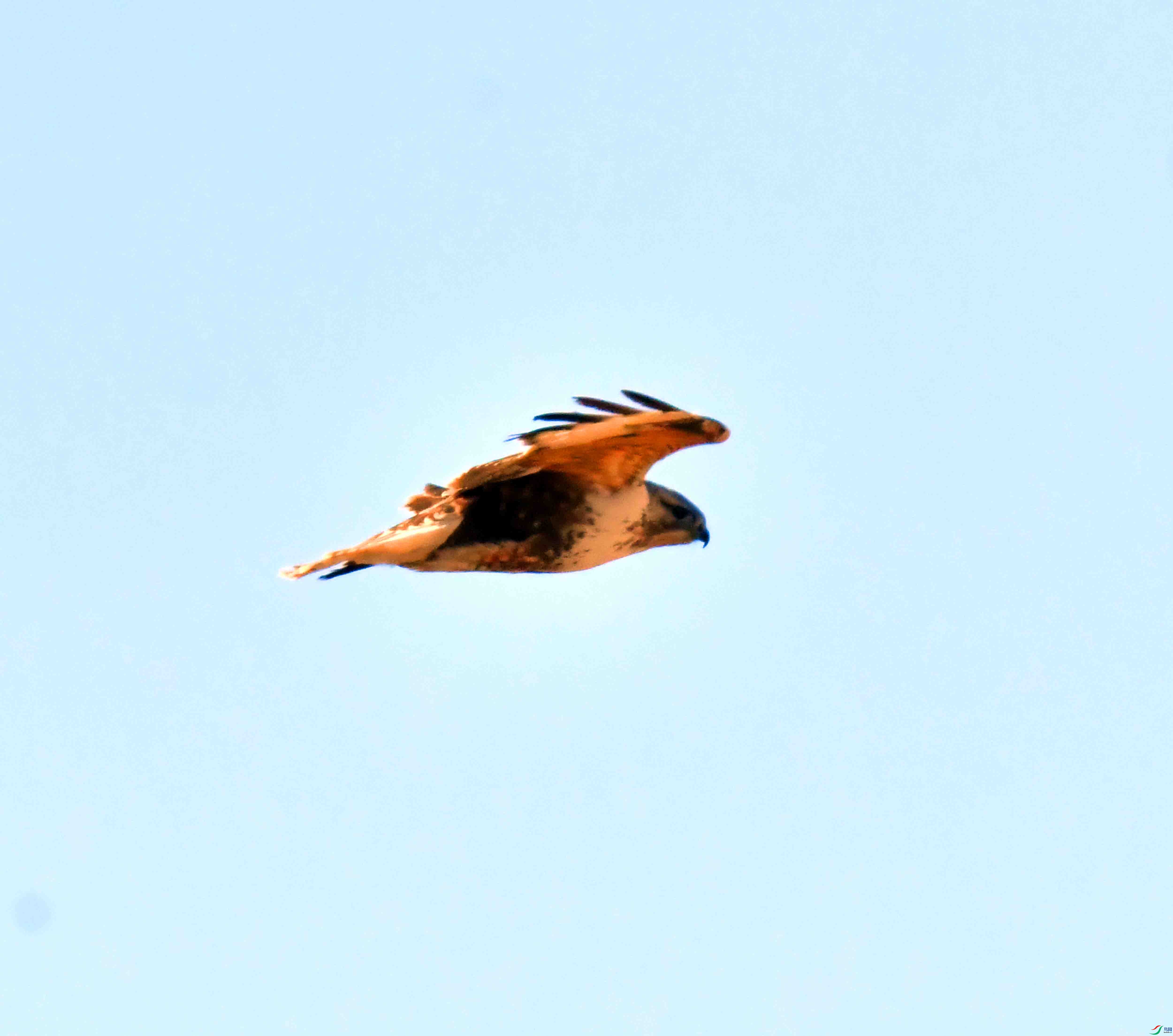 DSC_2945.JPG