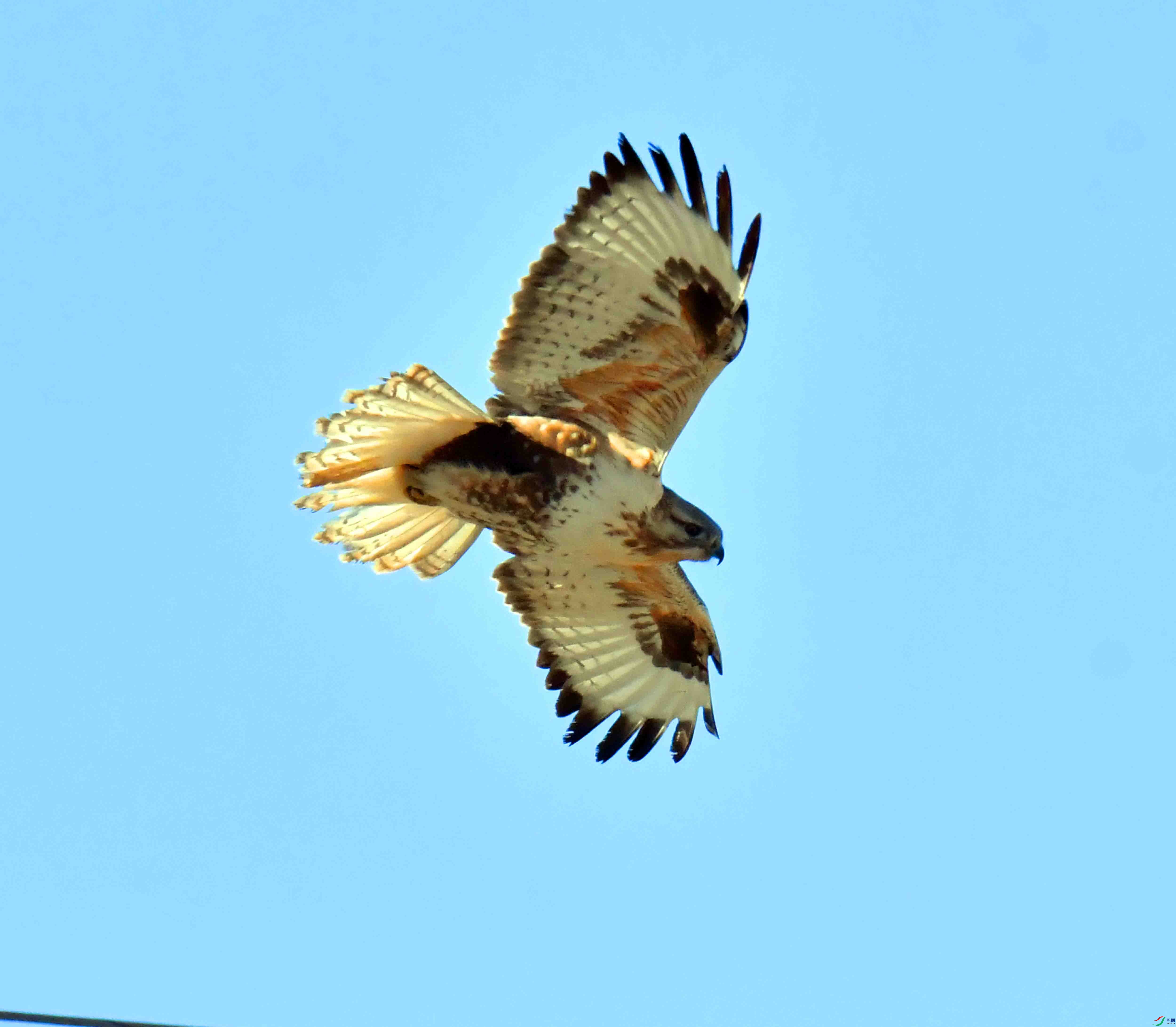 DSC_2940.JPG