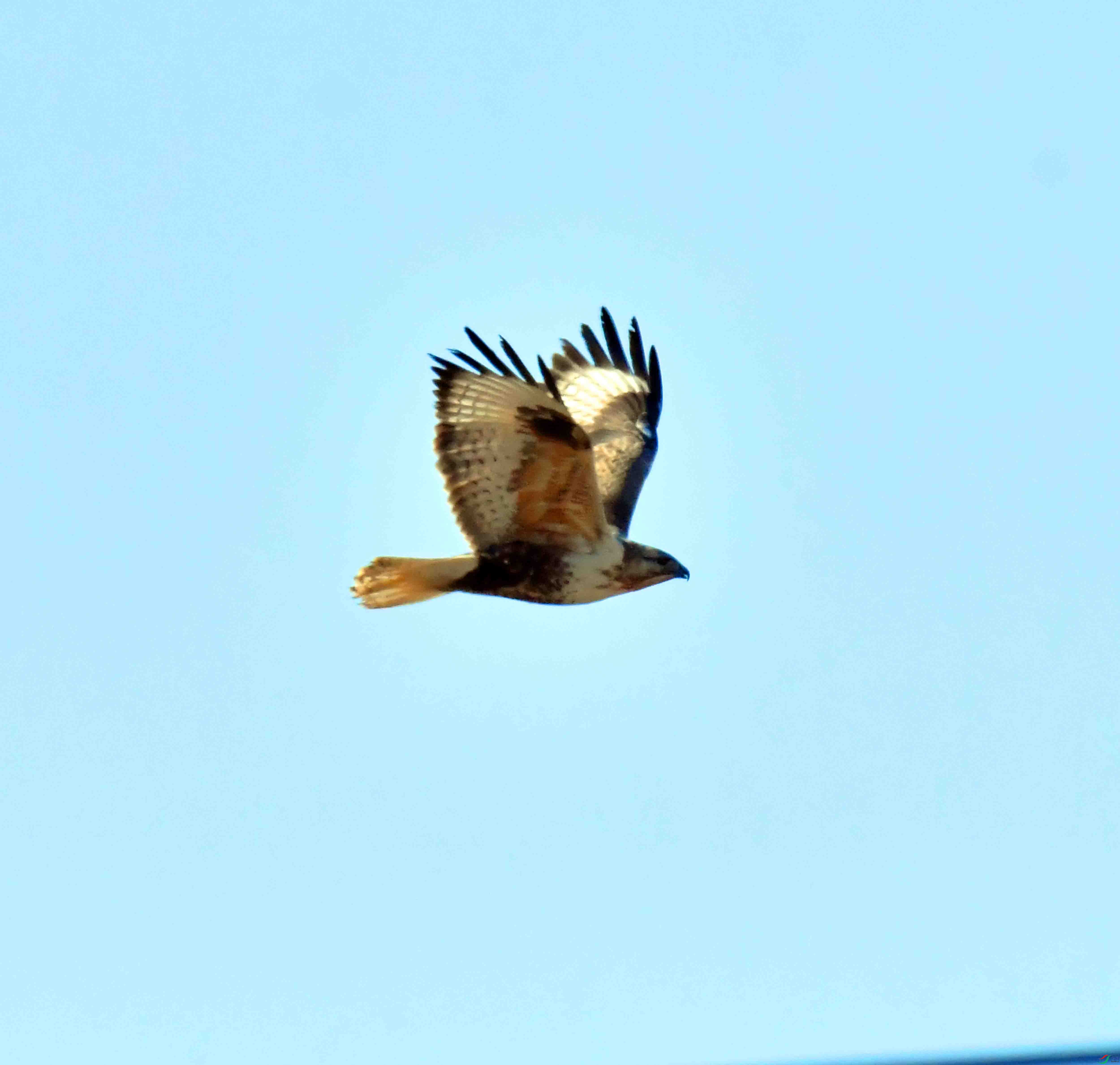 DSC_2968.JPG