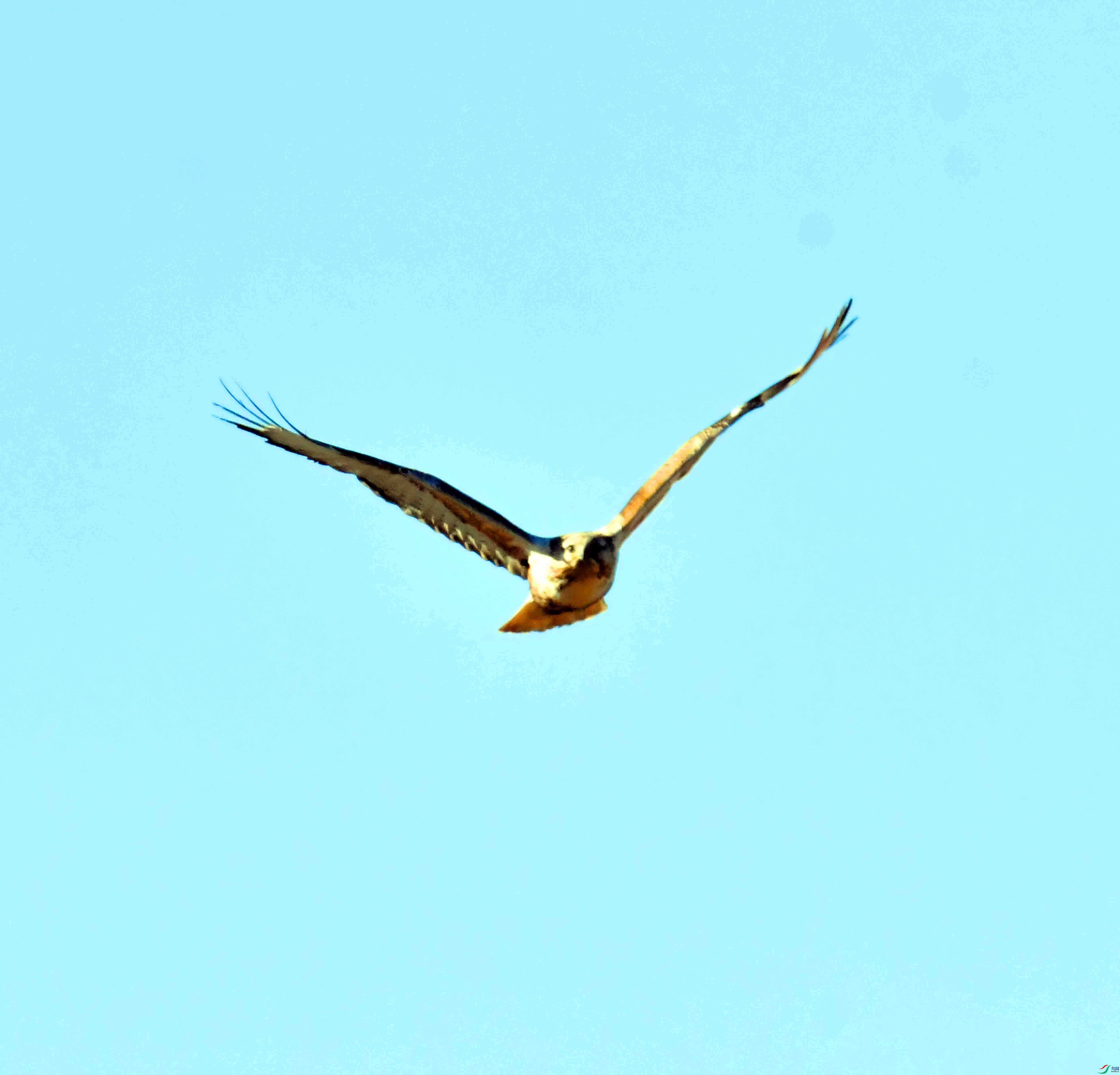 DSC_2976.JPG