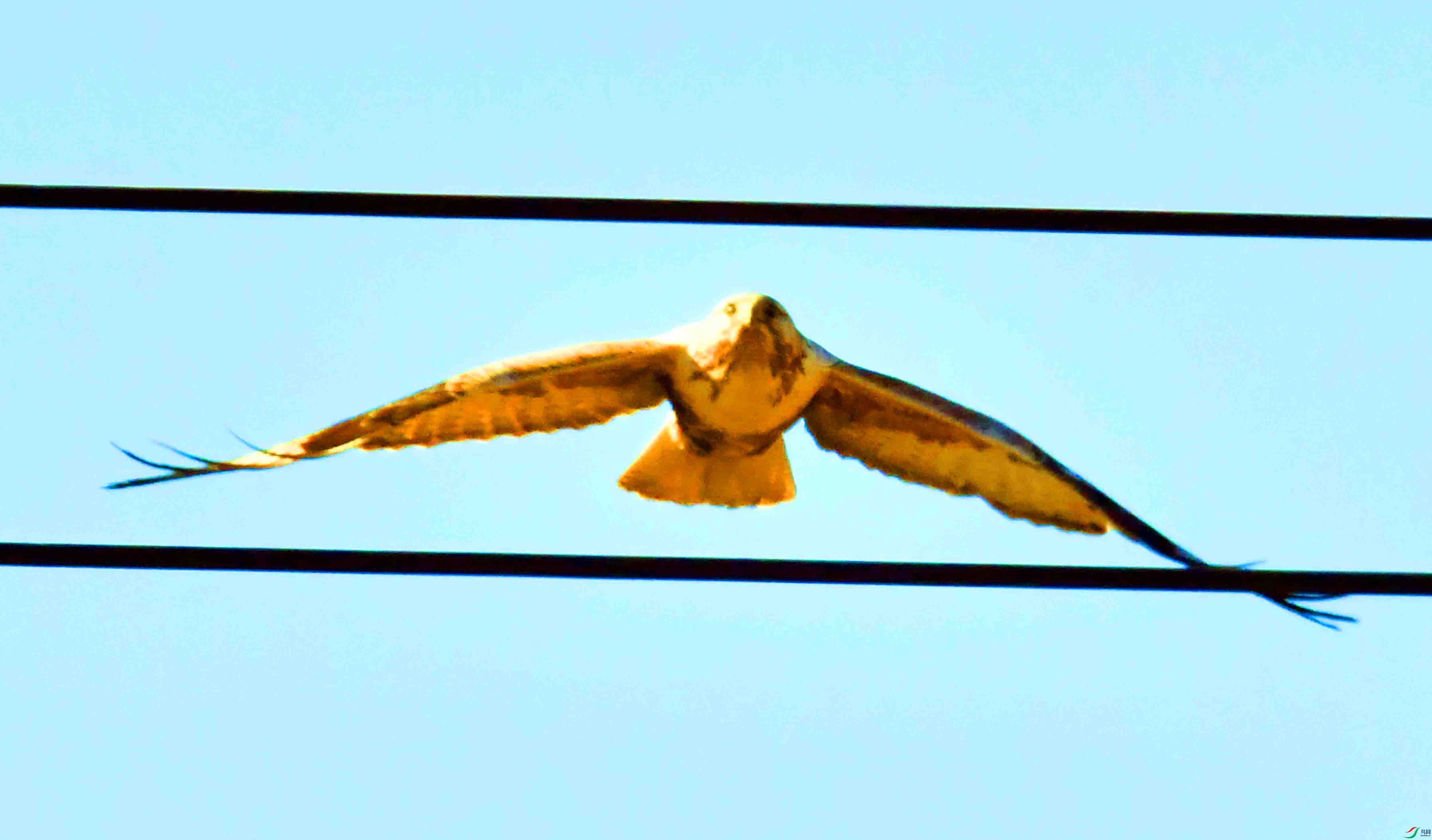 DSC_2981.JPG