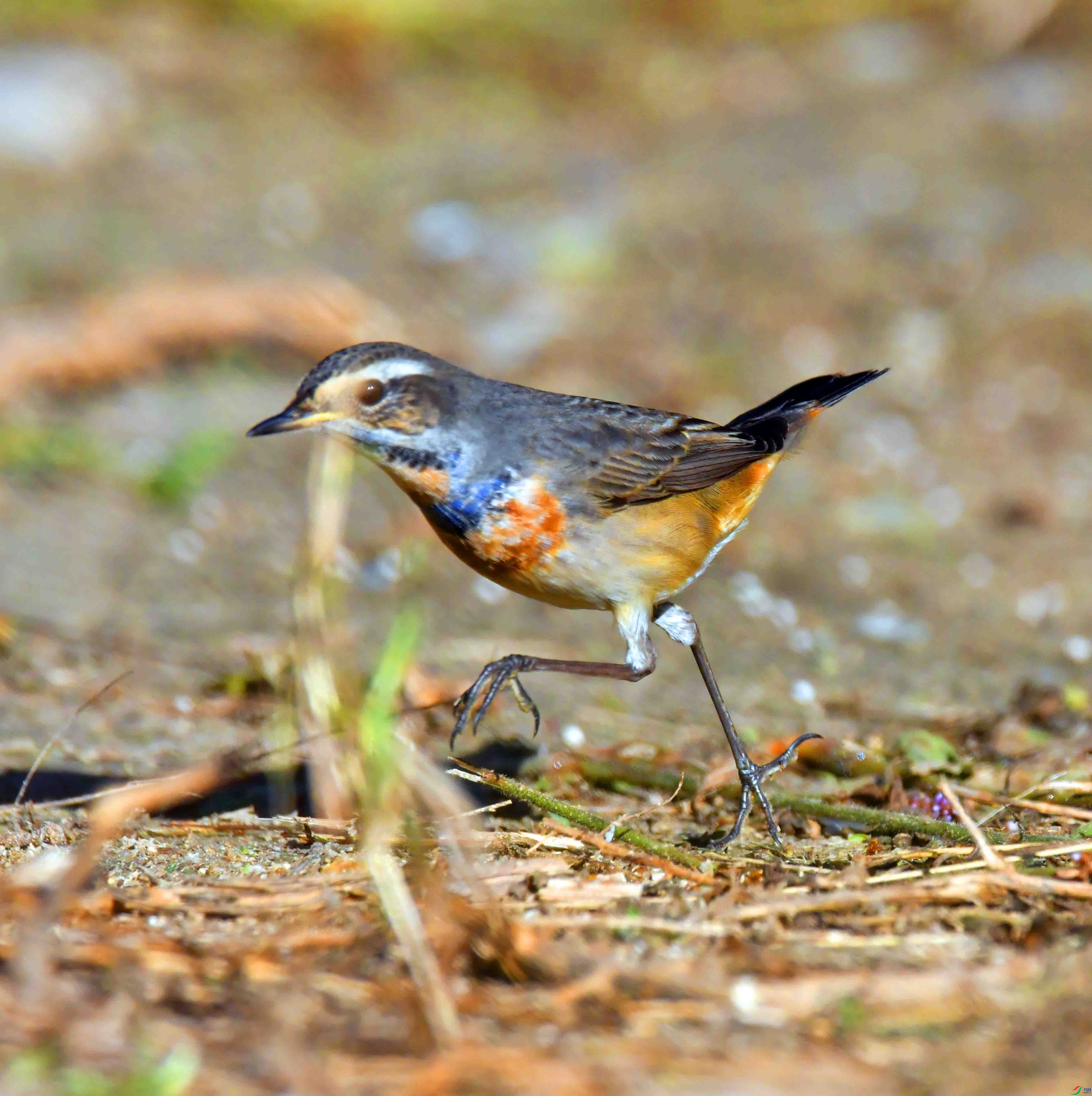 DSC_5807.JPG