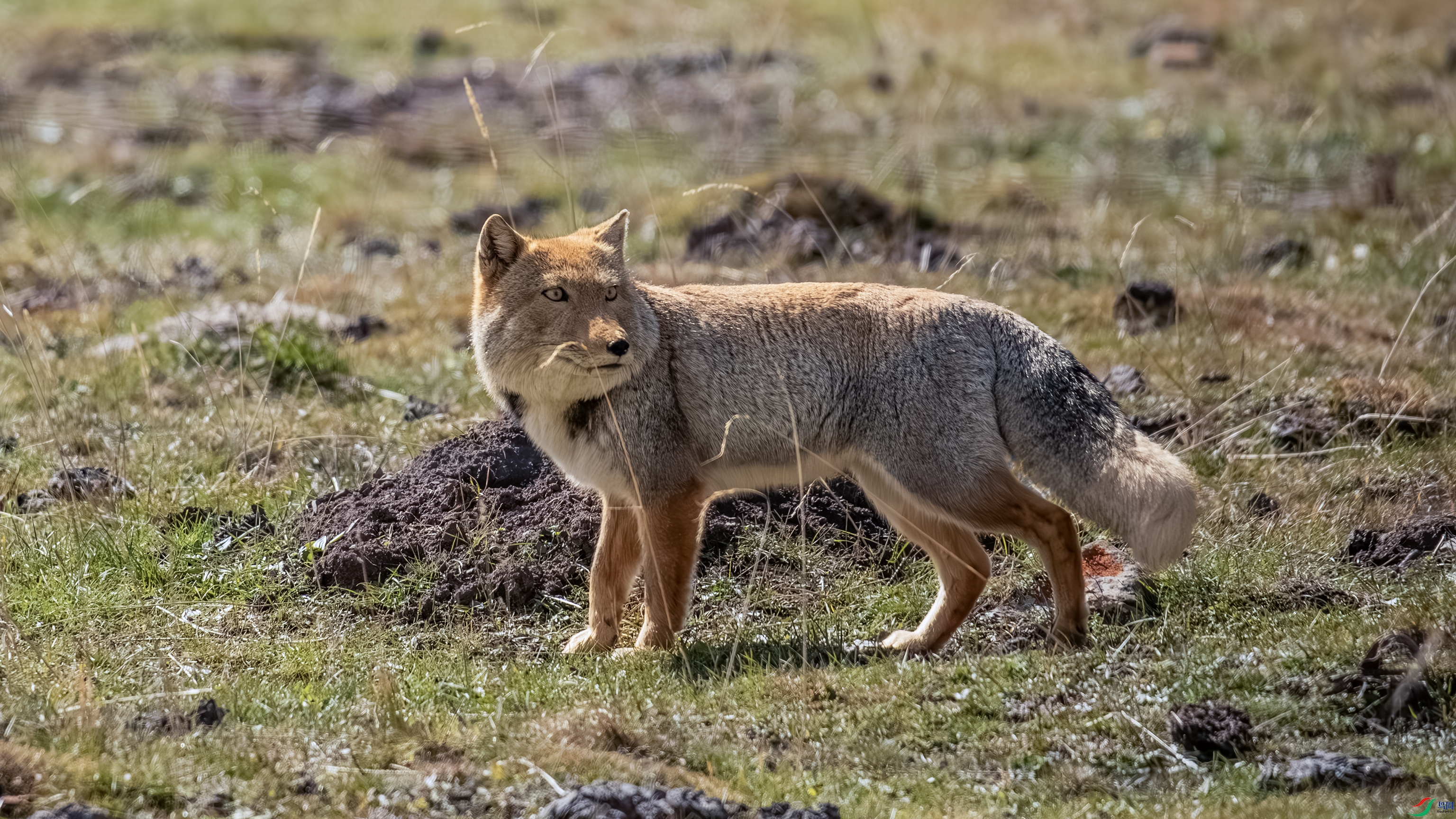 000A6212-333.jpg