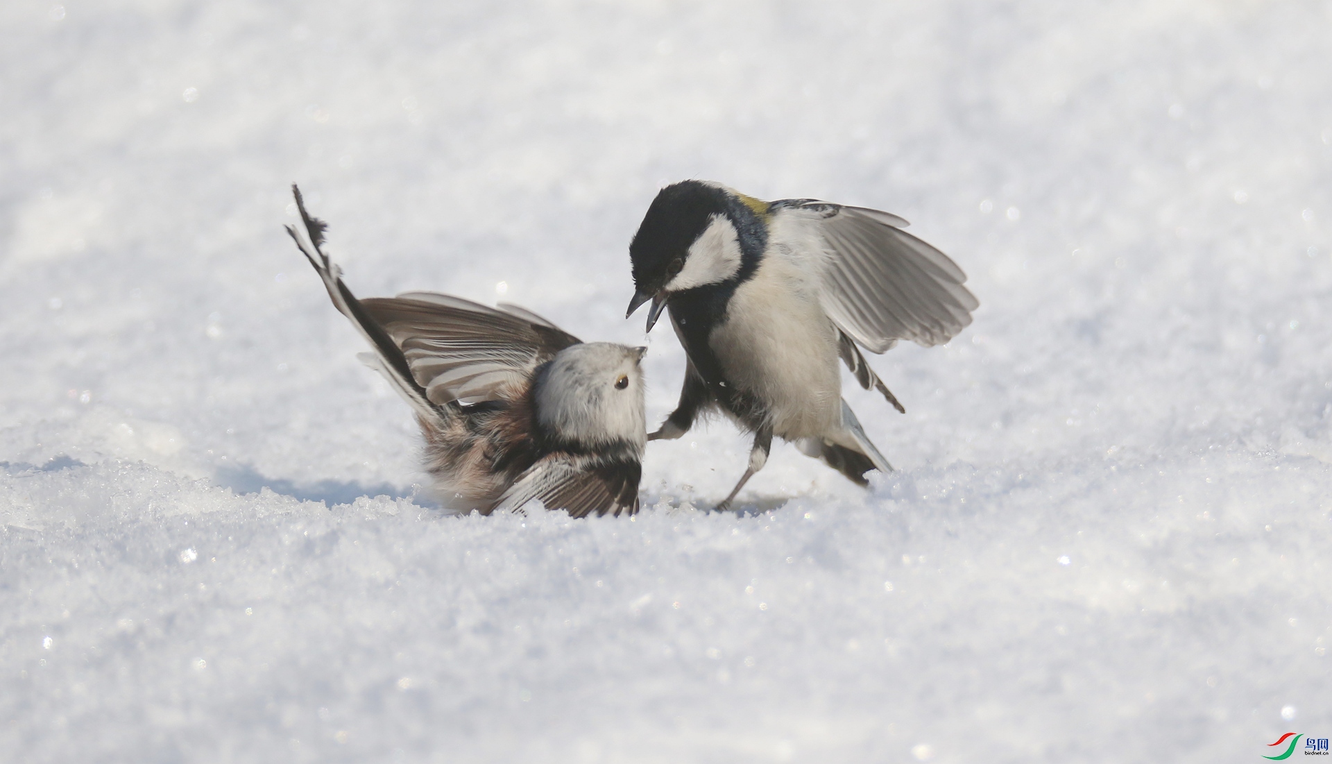 0G1A8871 ����.jpg