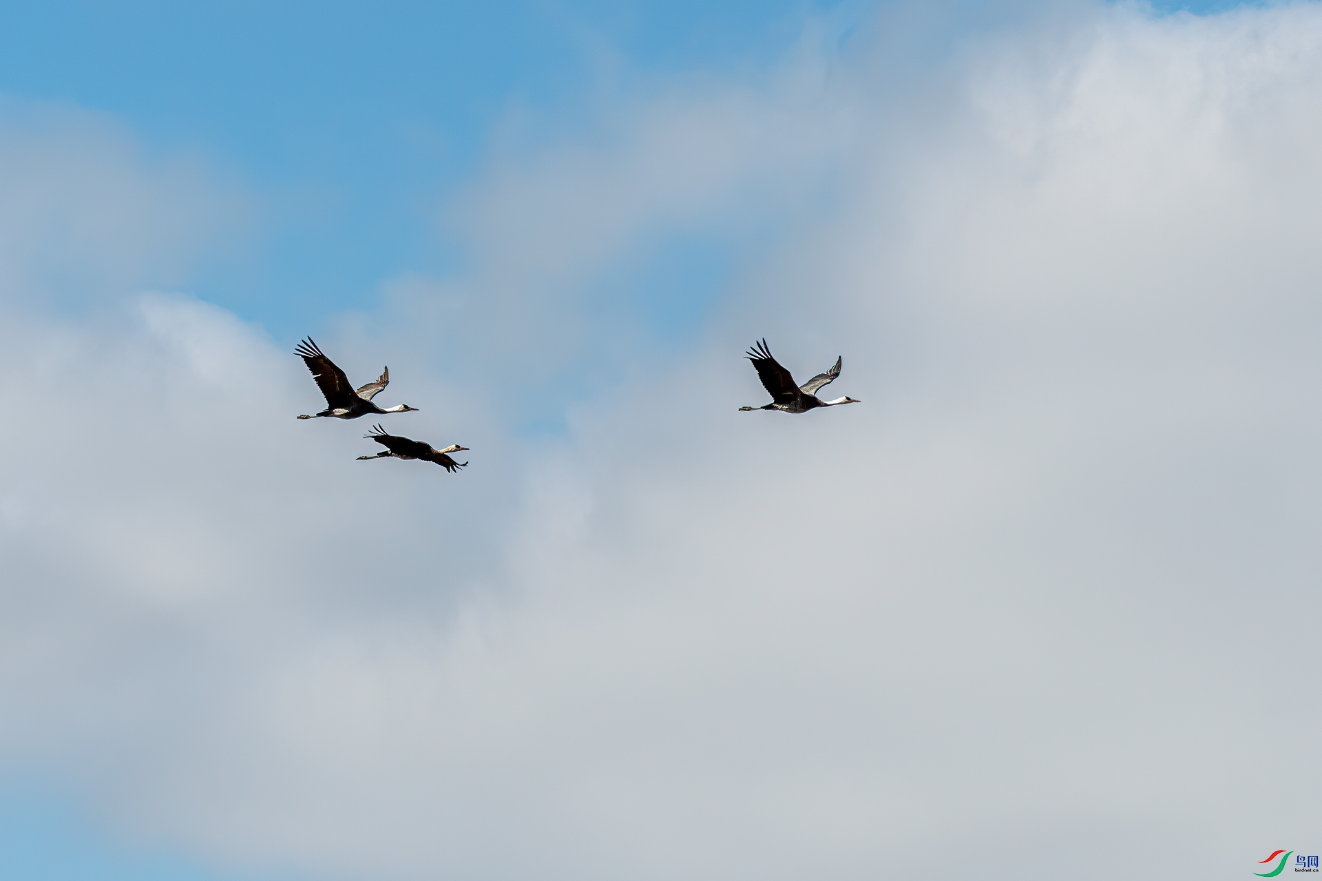 DSC_2638-11.jpg