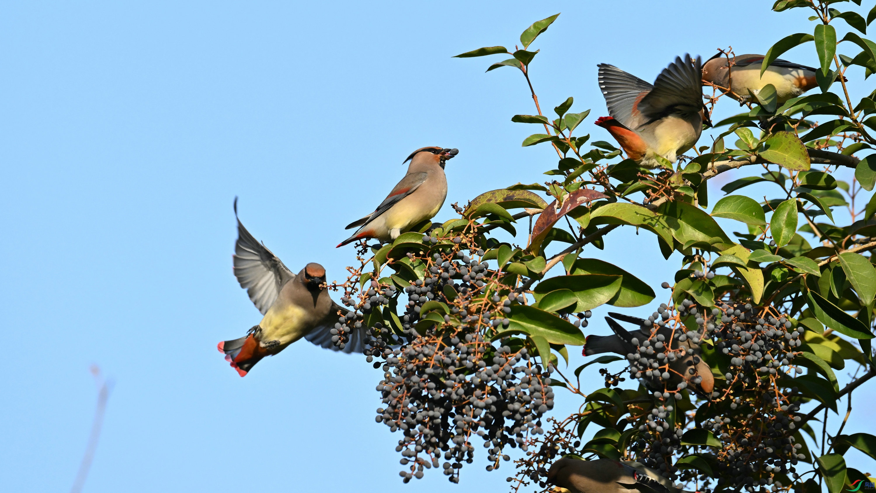 DSC_0351.JPG