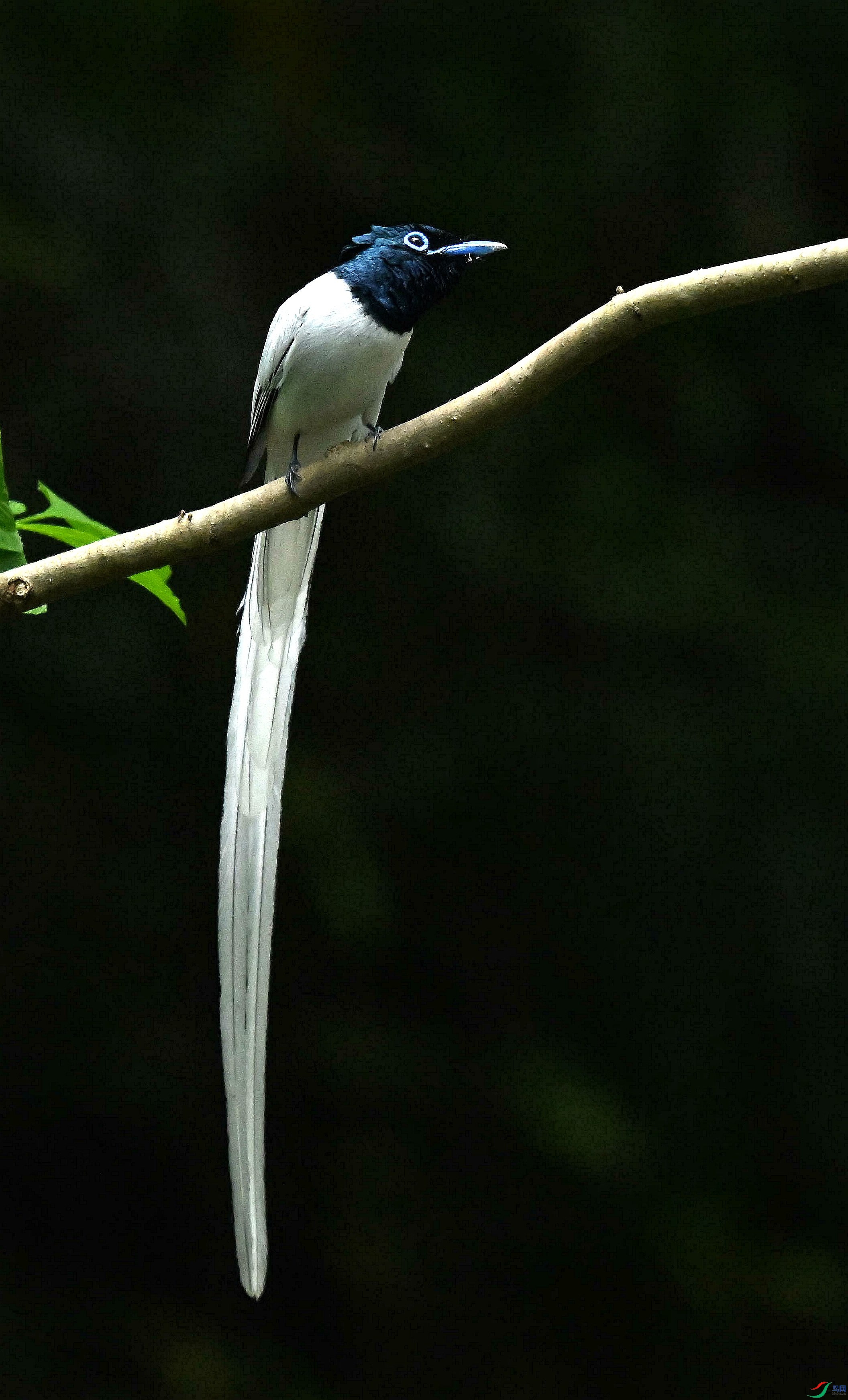 DSC_4360.jpg