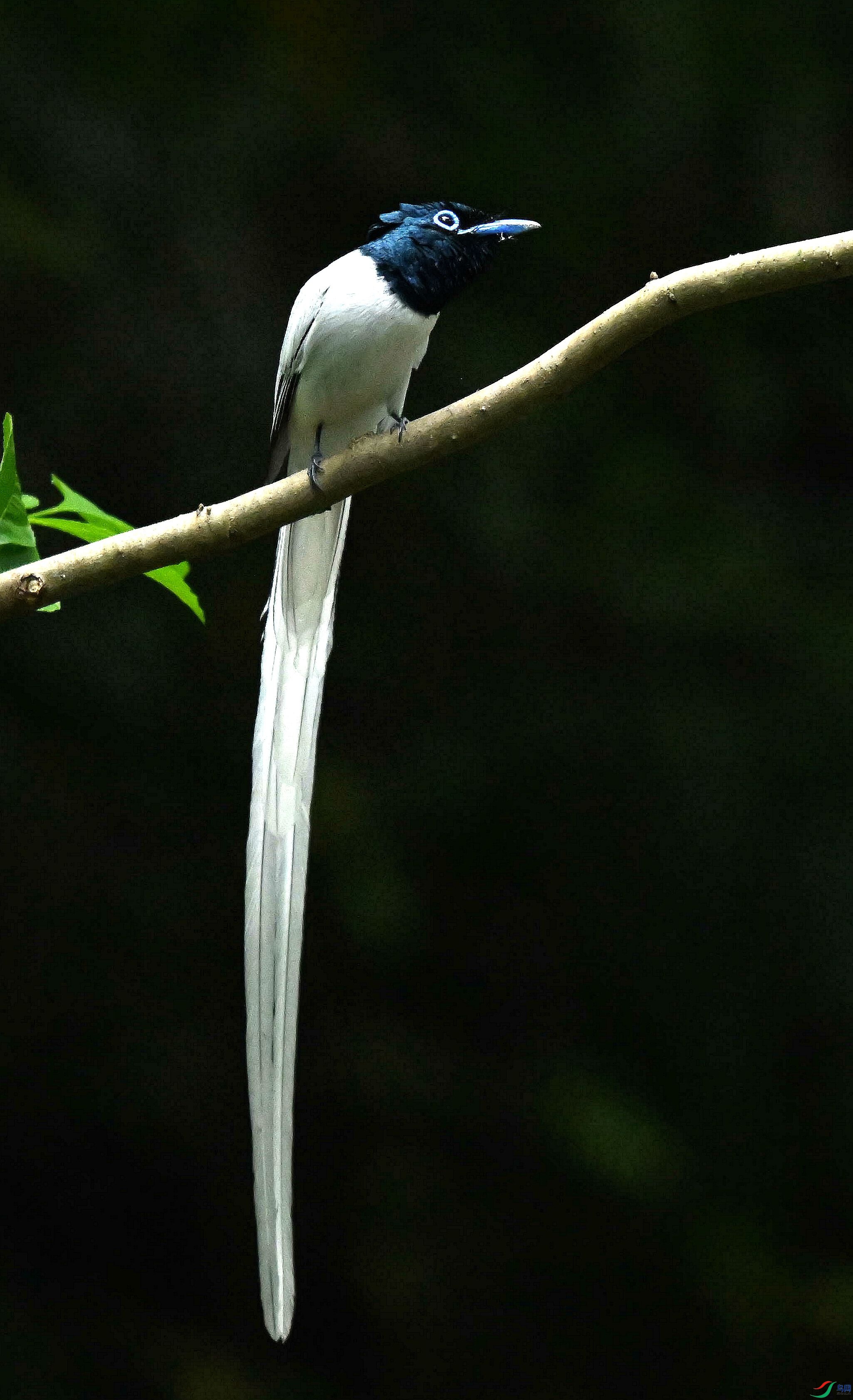 DSC_4366.jpg