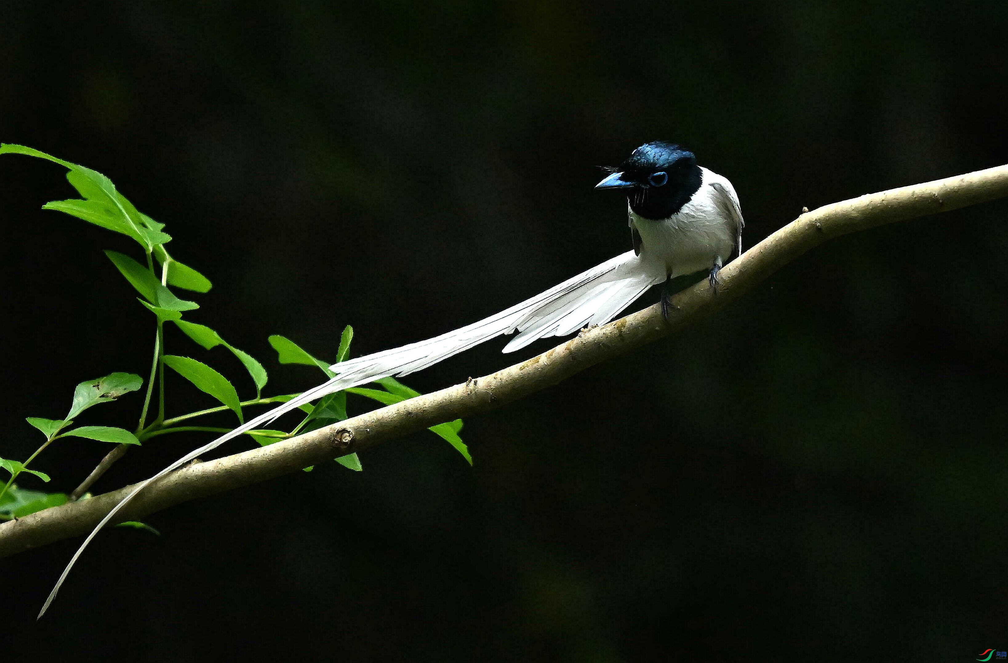 DSC_4675.jpg