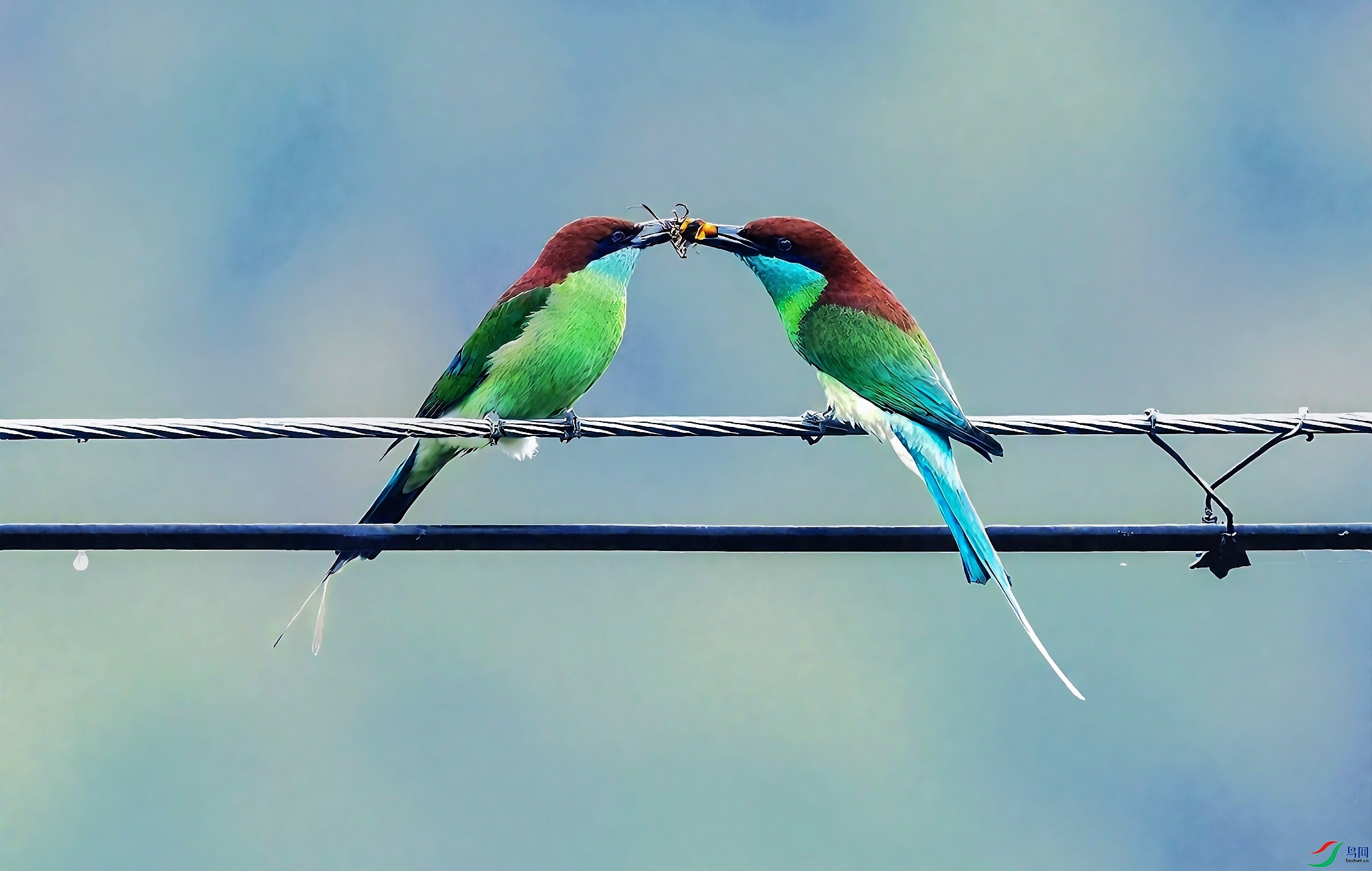 ΢��ͼƬ_20251203073146_303_90 ����_����_����.jpg