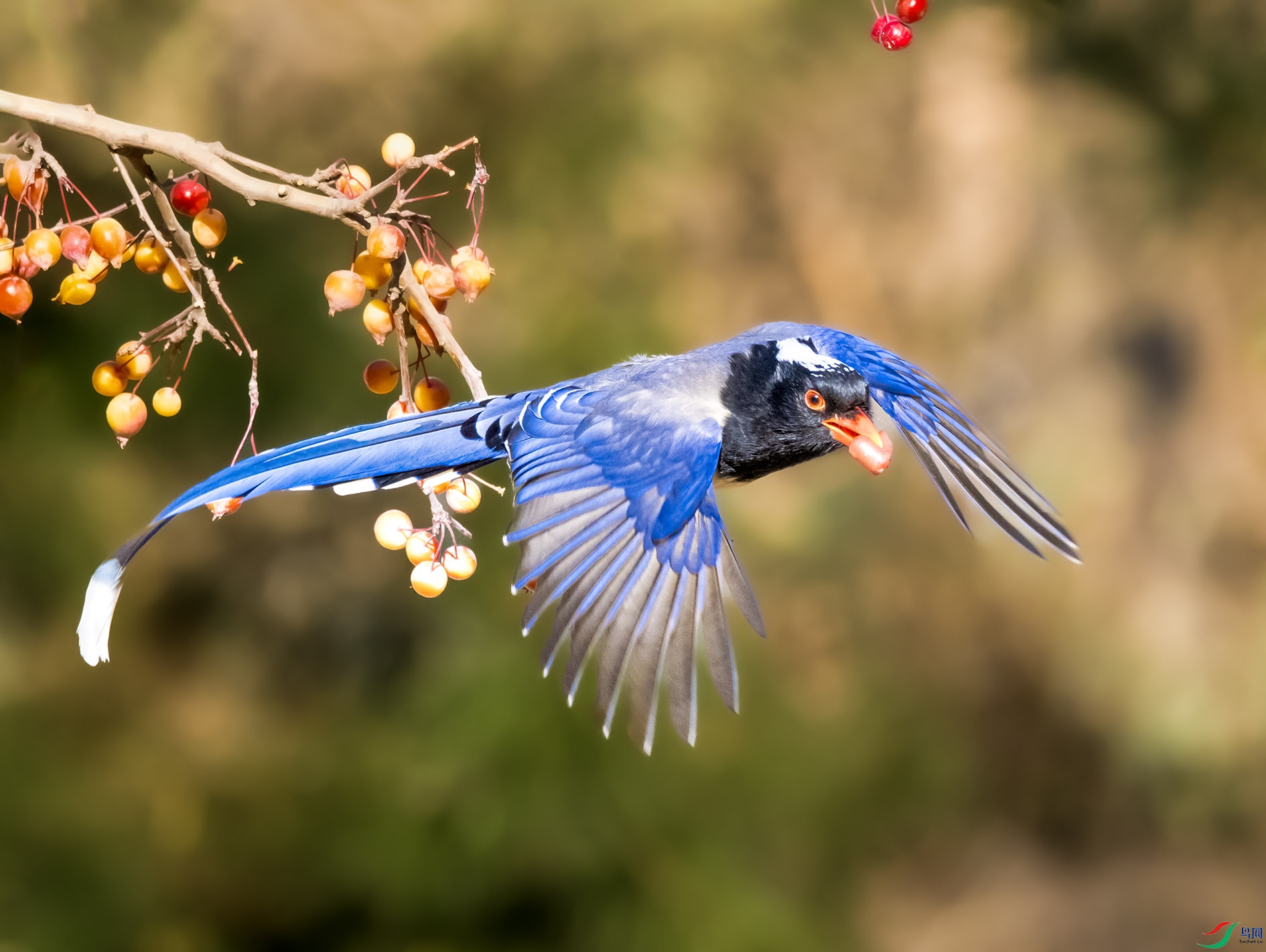 DSC_7015_��ͼ�� ����.jpg