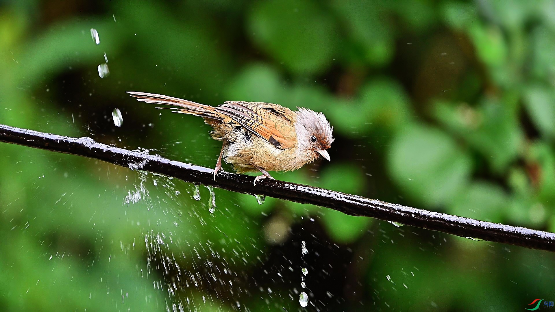 11��25�� (4)-���� ����.jpg