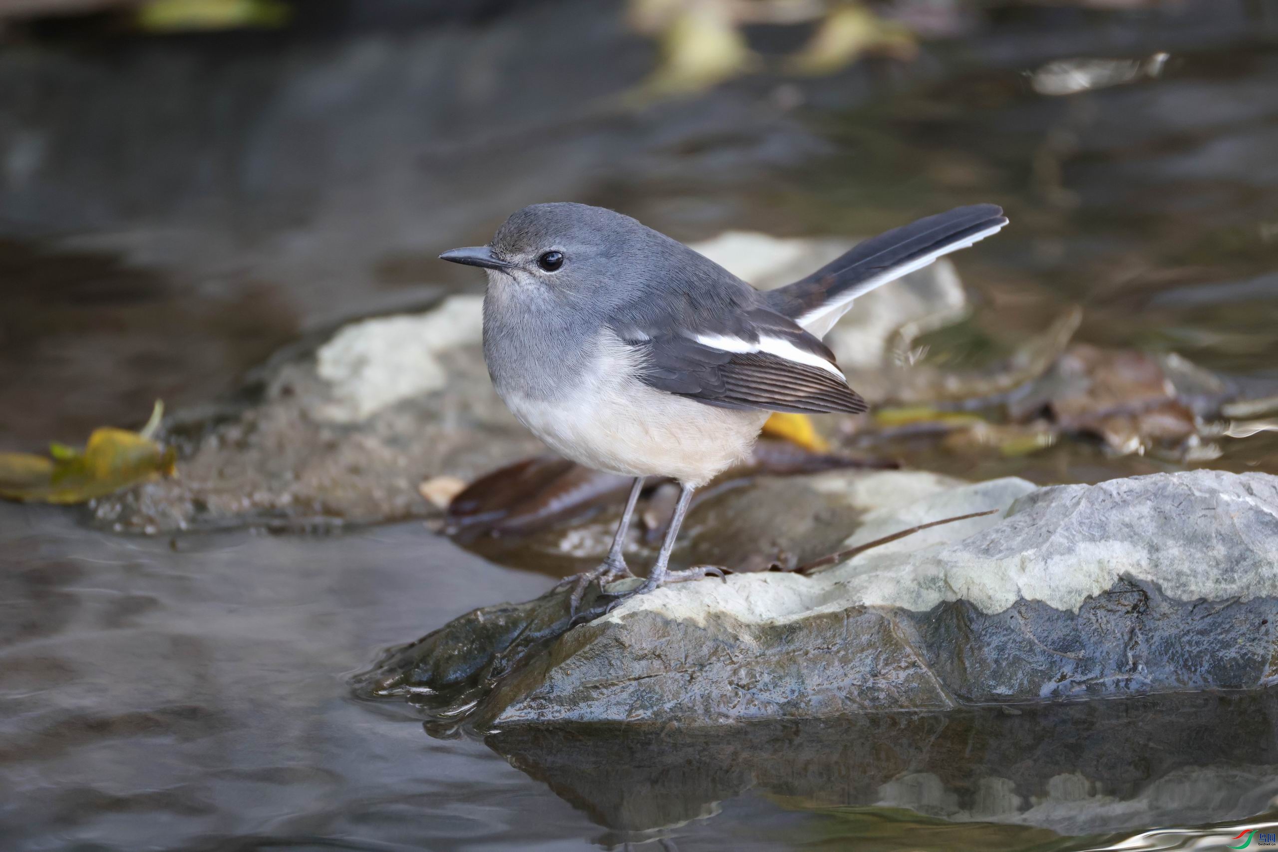 ������С �����ع� AA1A2651.JPG