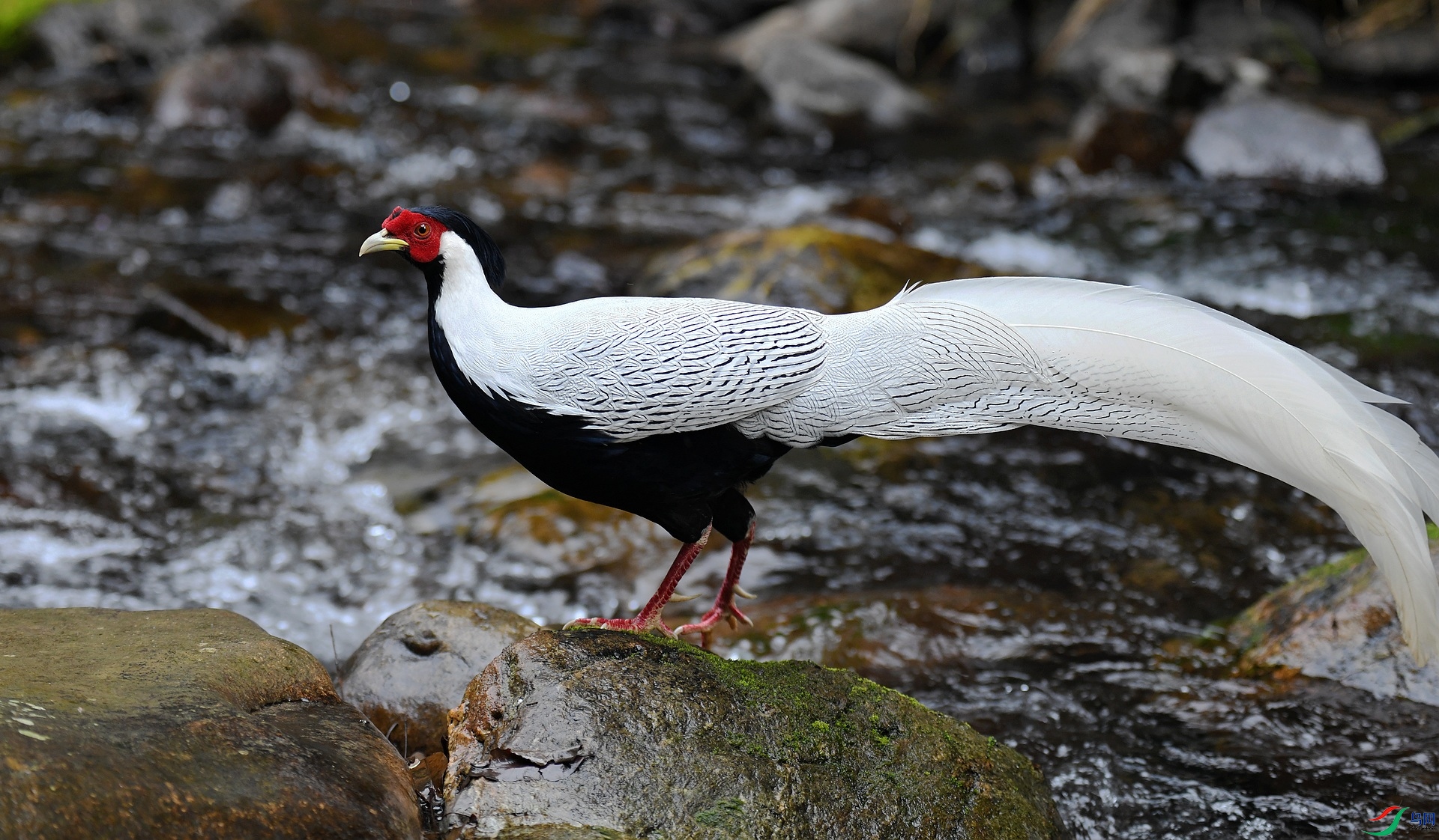 DSC_7755.jpg