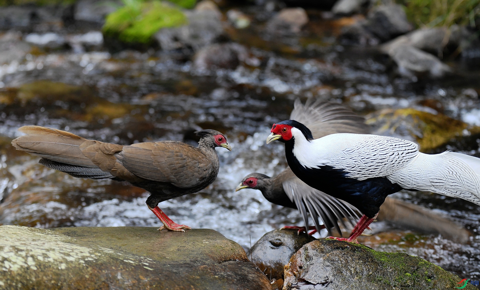 DSC_7769.jpg