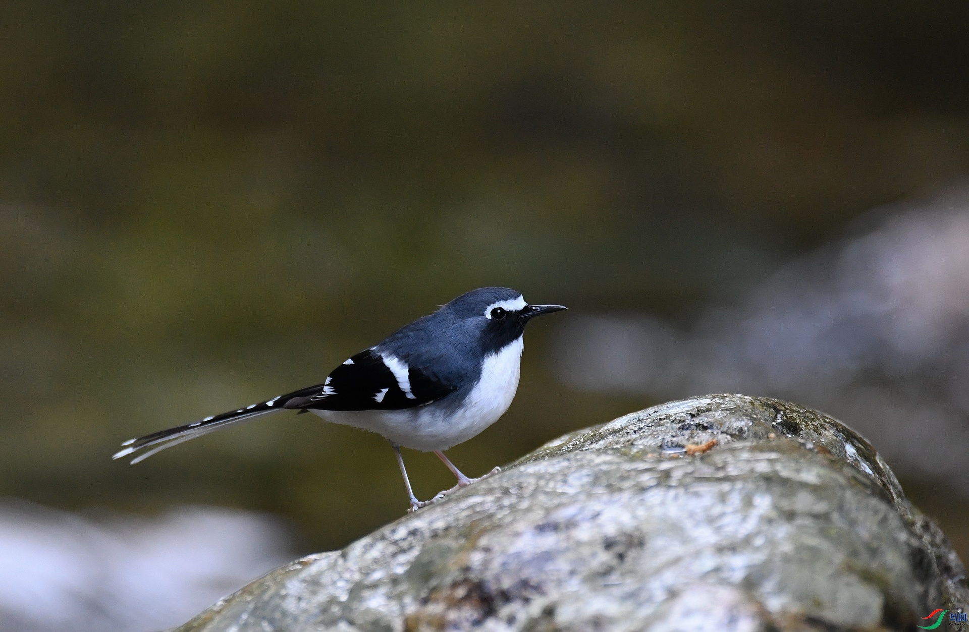 DSC_8479.jpg