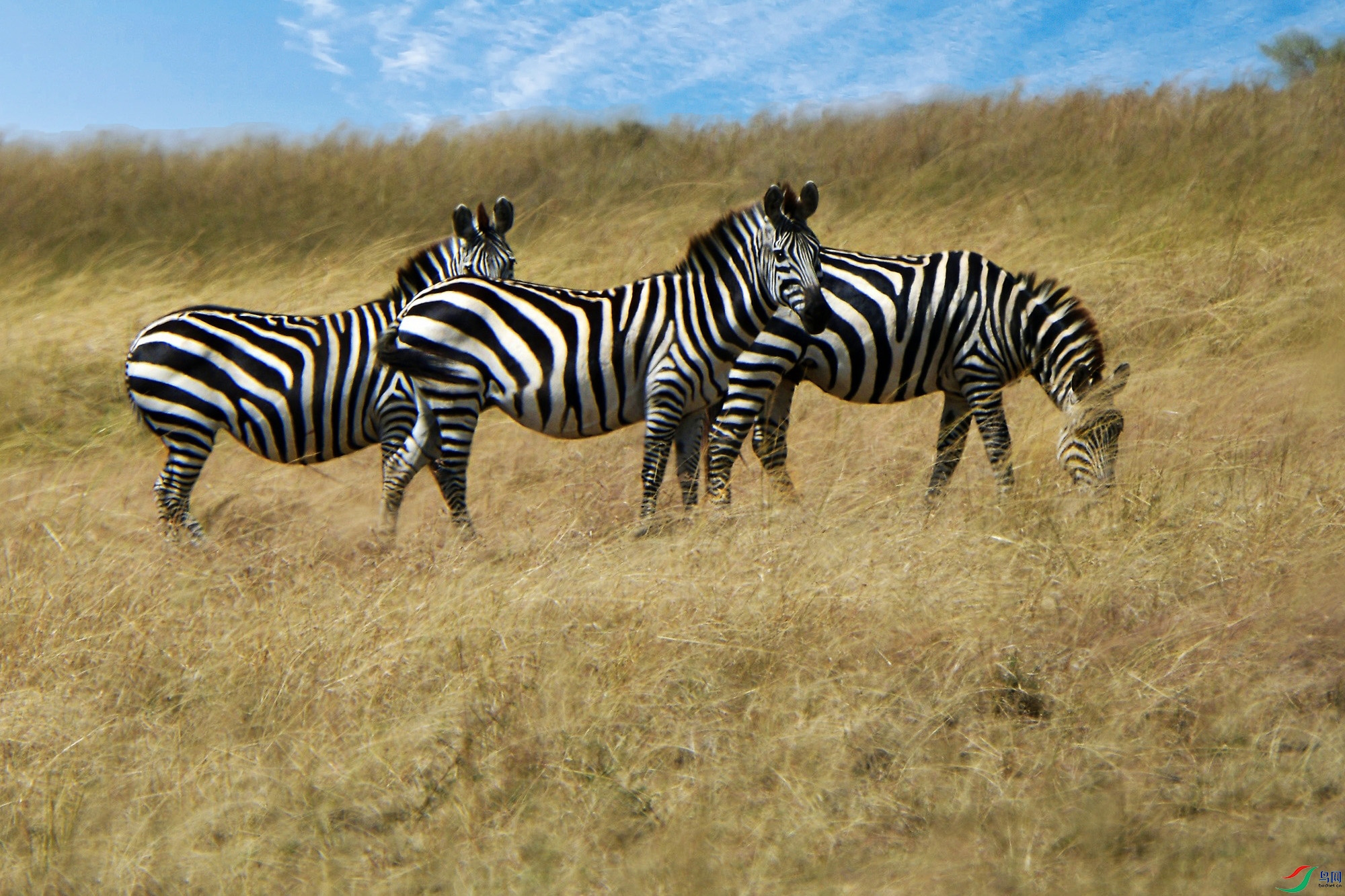 IMG_20251202_.jpg