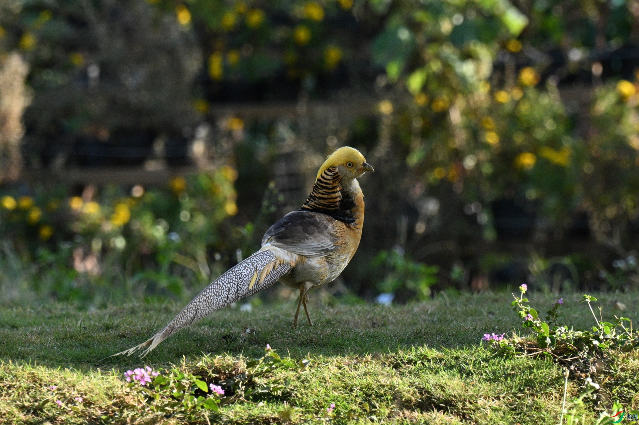 DSC_0422_����.jpg