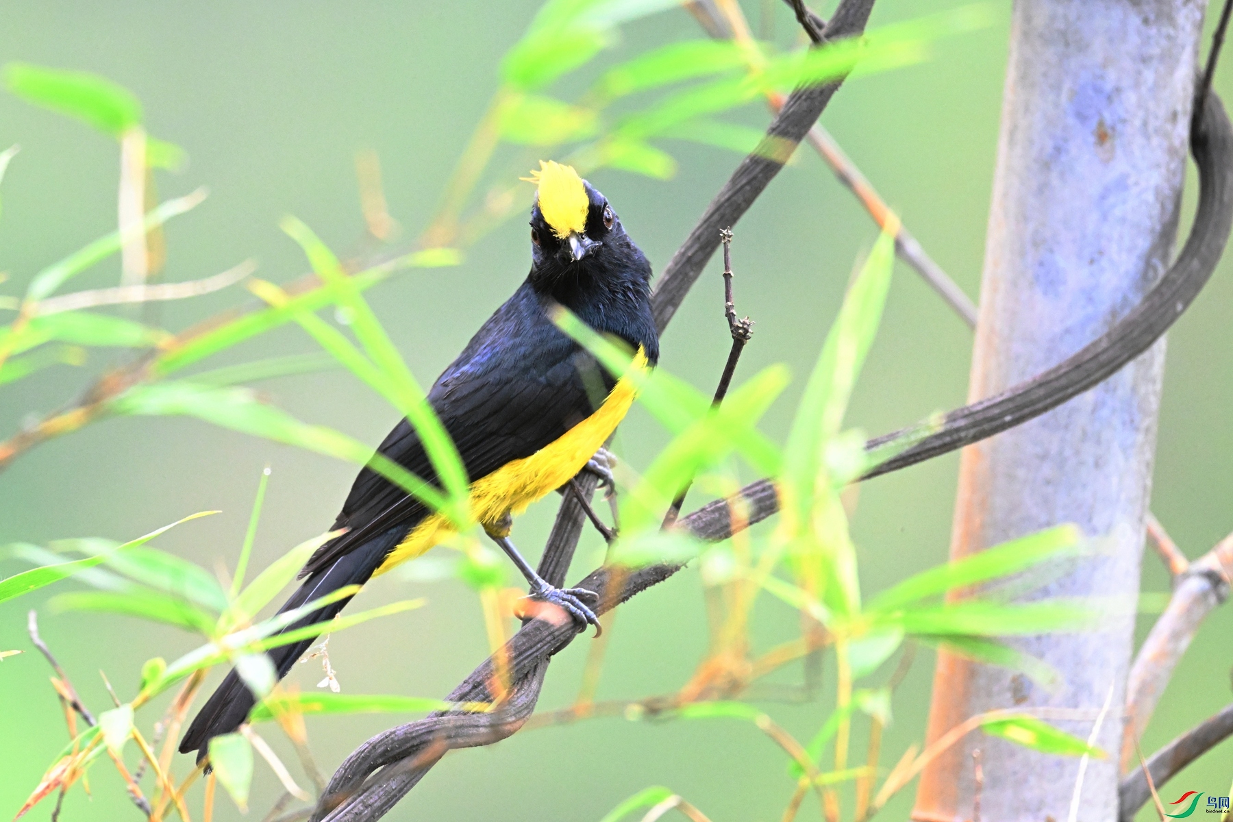 DSC_9546.JPG