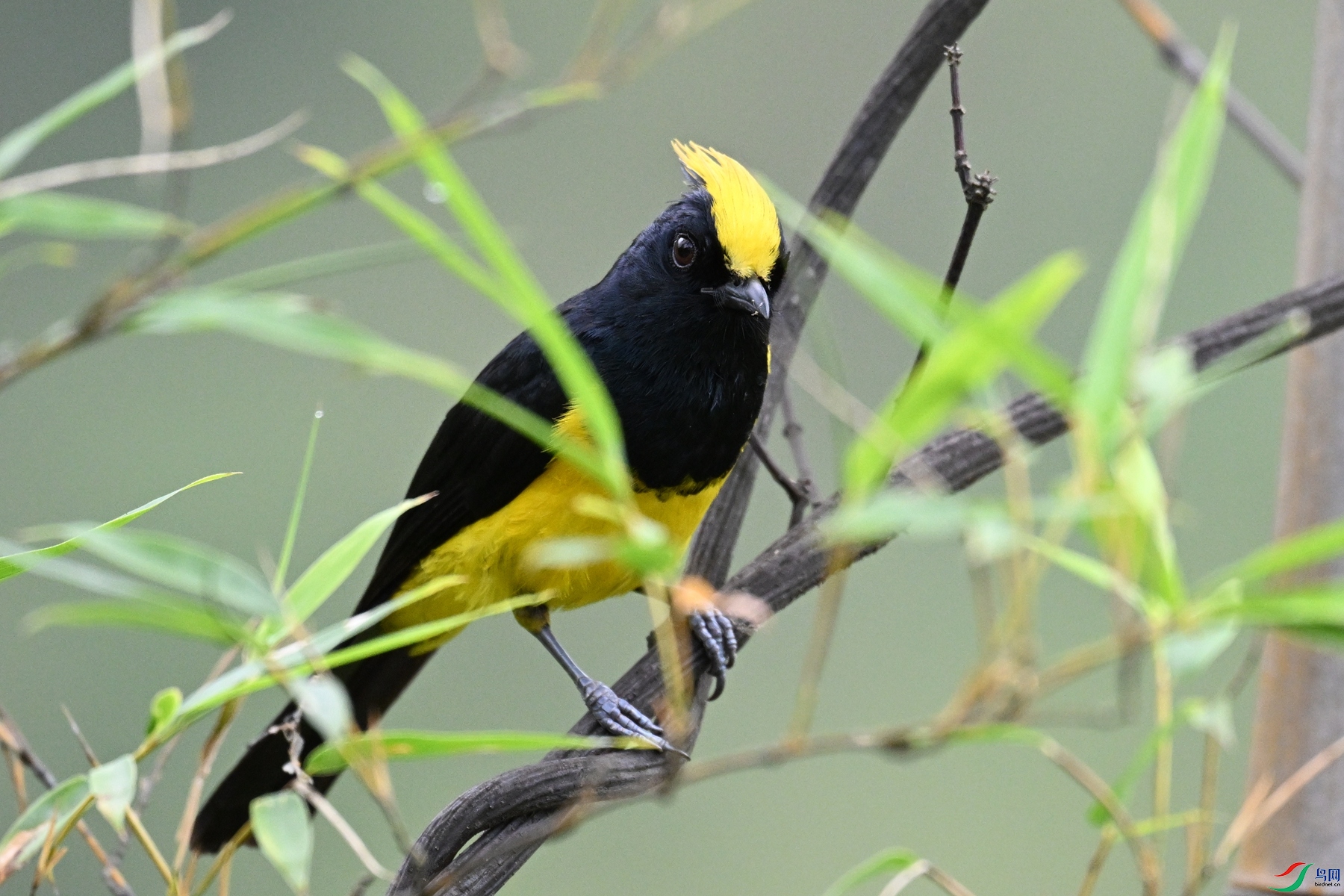 DSC_9552.JPG