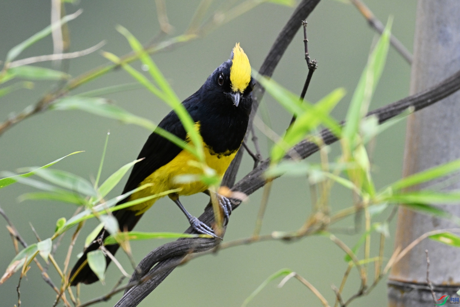 DSC_9557.JPG