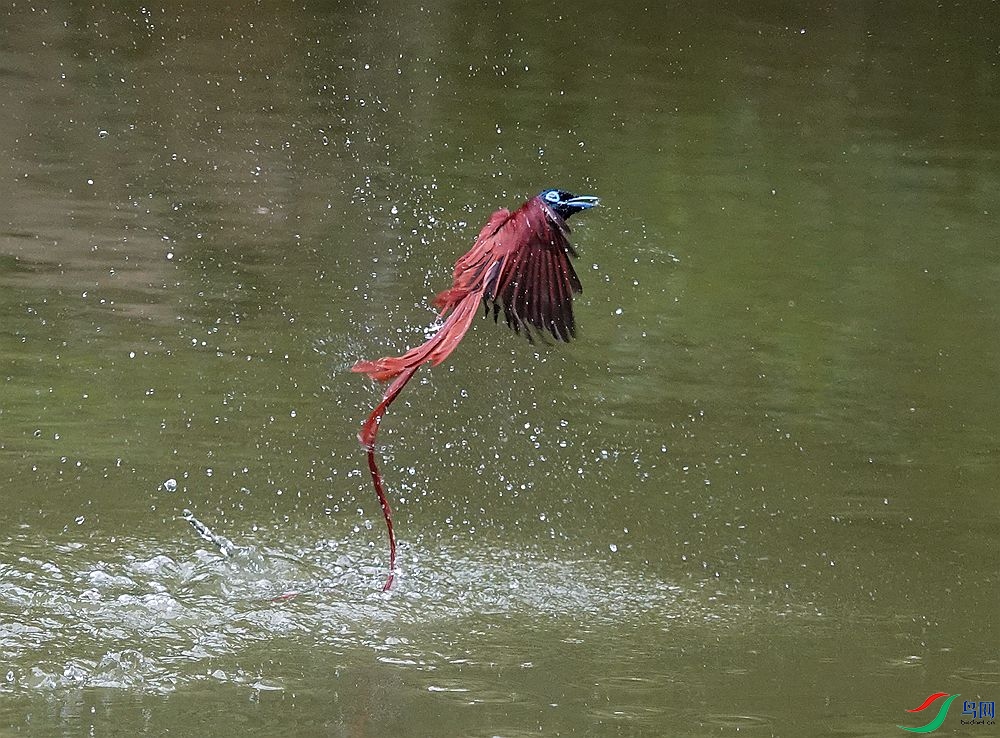 DSC07548_���� - ����.jpg