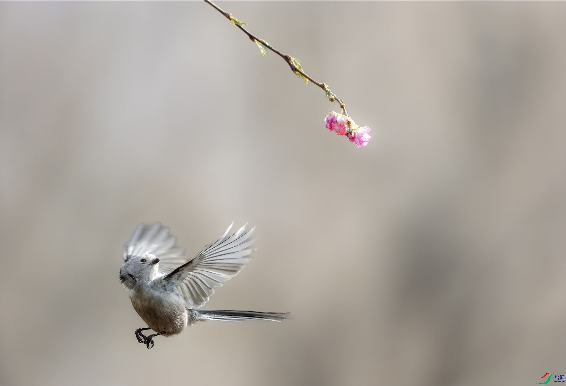 DSC02035 ����01.jpg