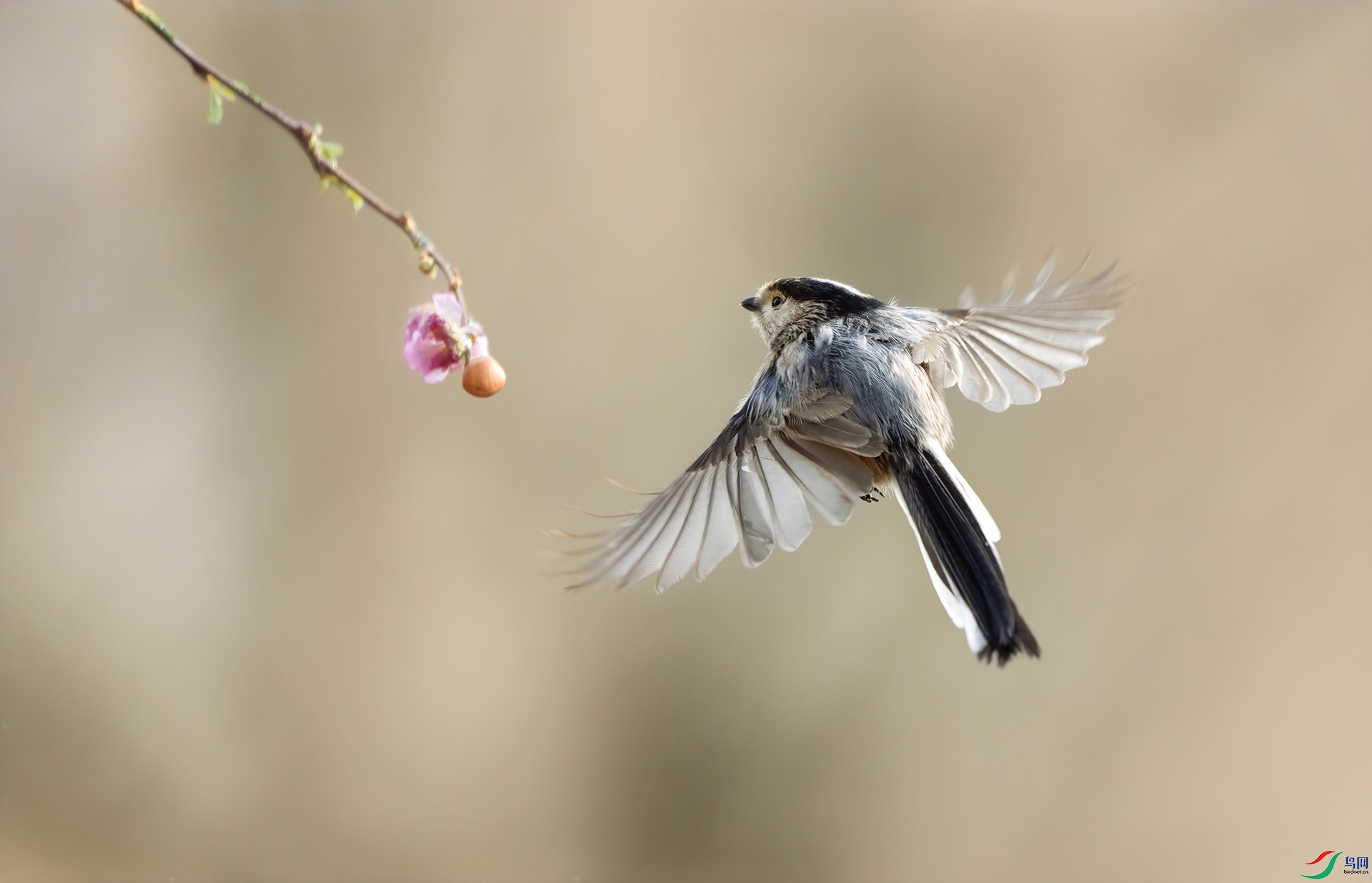 DSC02319 ����01.jpg