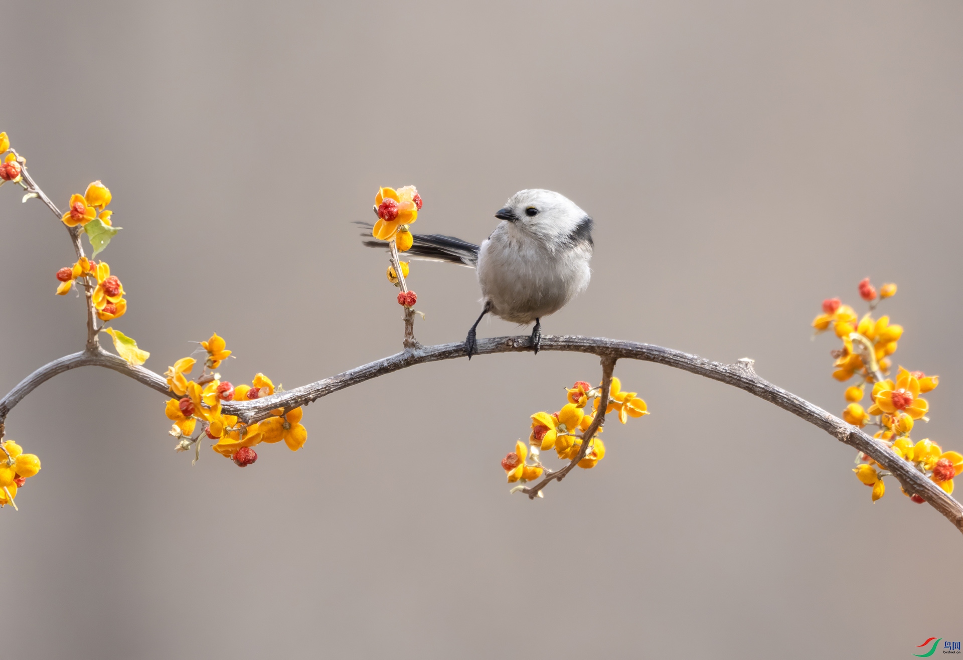 DSC08311 ����.jpg