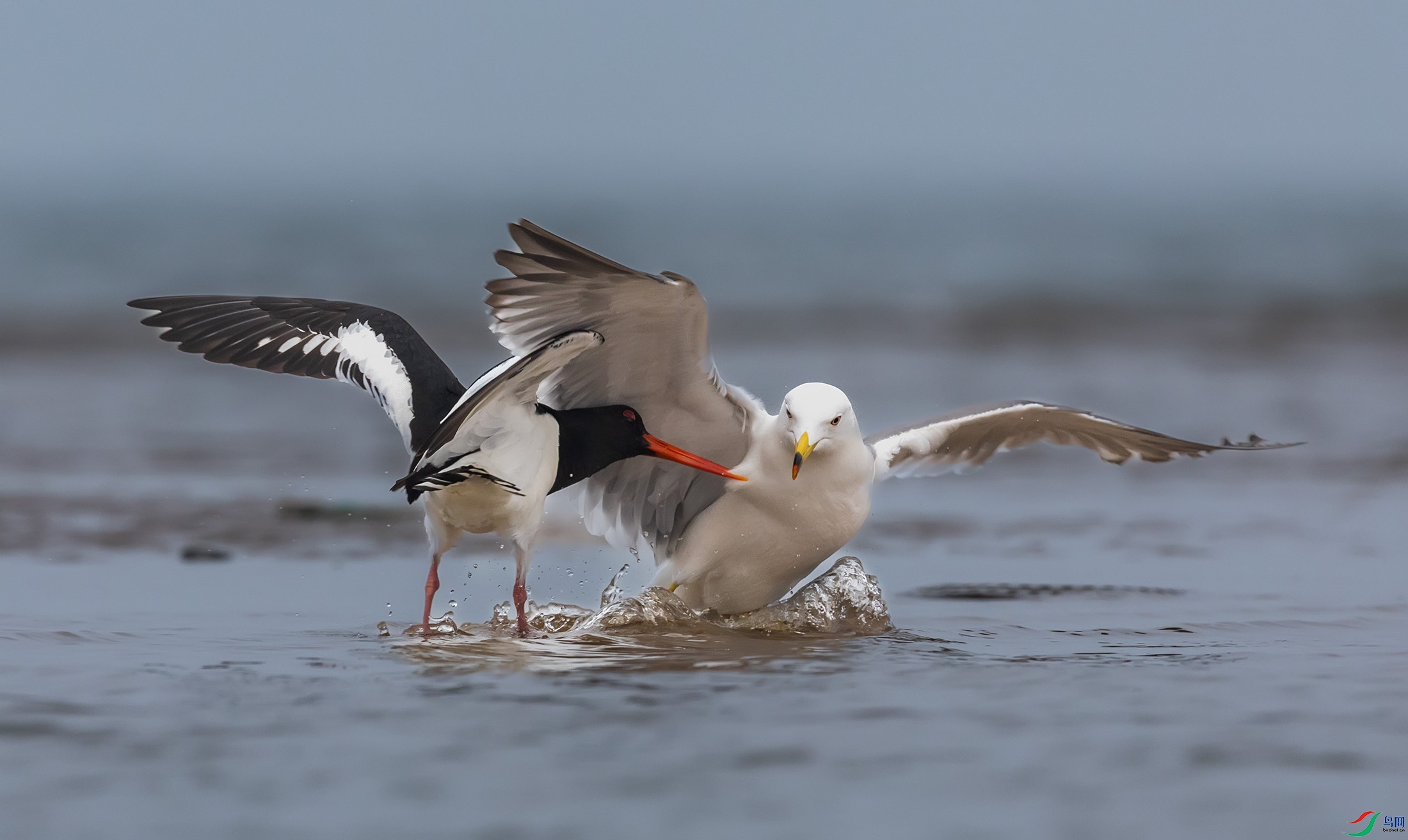 ��βŸ������