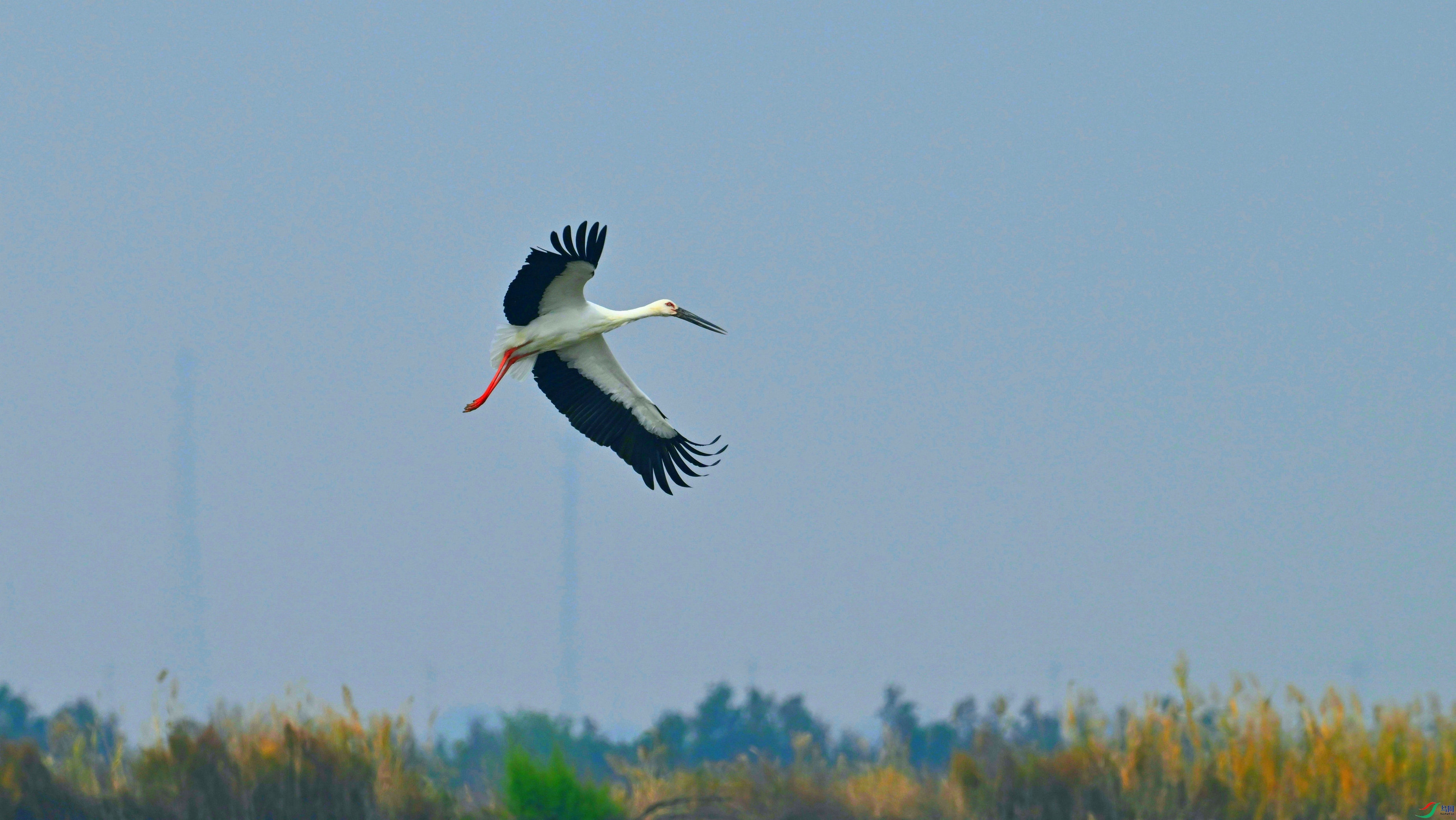 DSC_0774.JPG