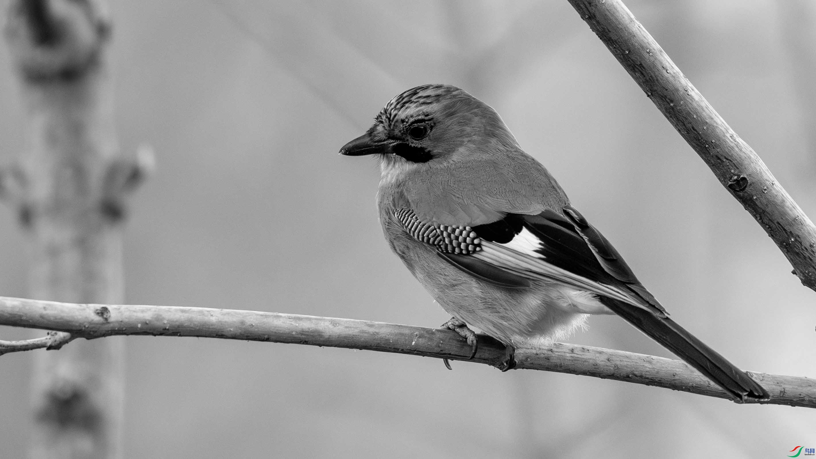 DSC04122-1.jpg