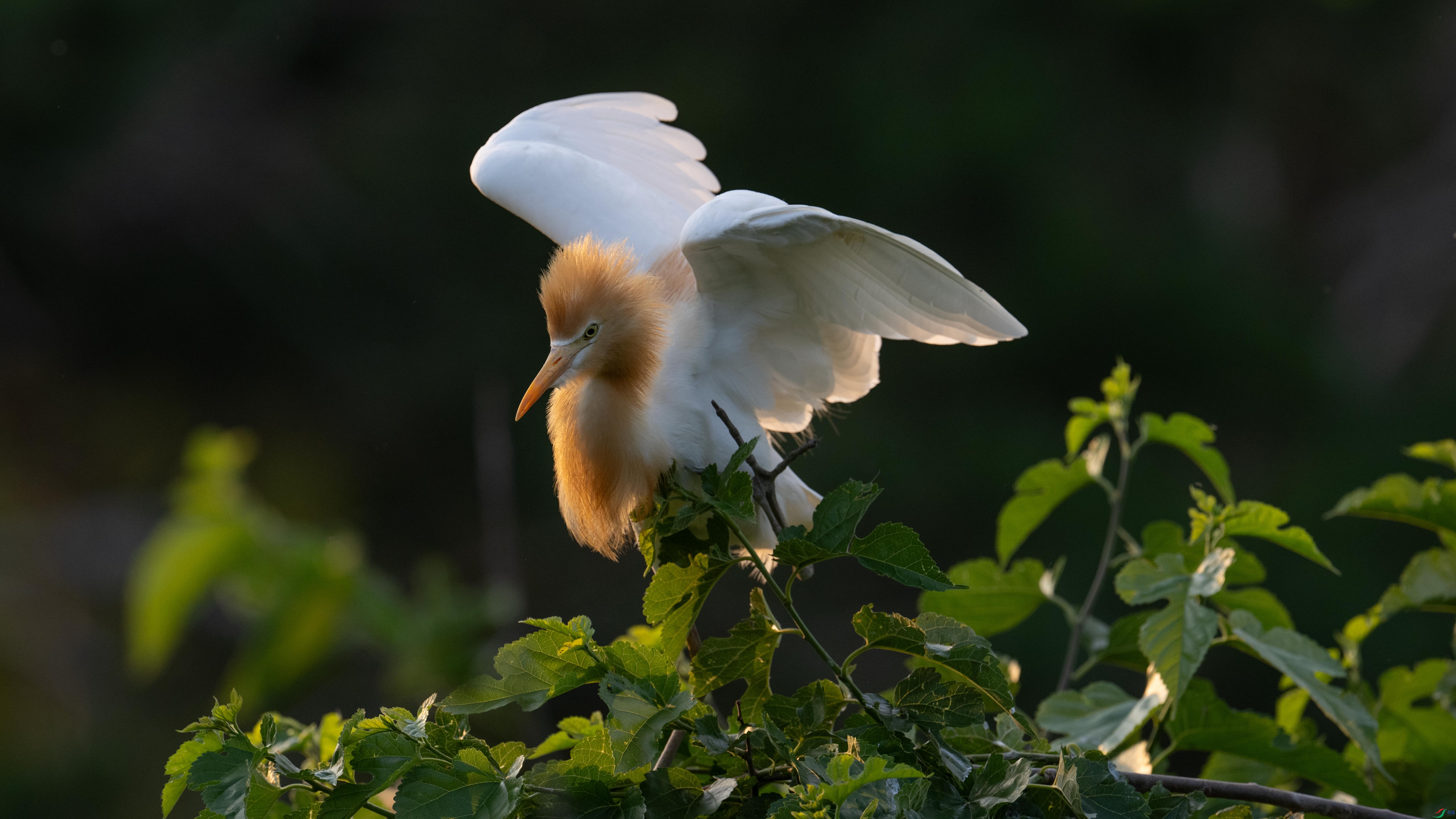 DSC_0164.jpg