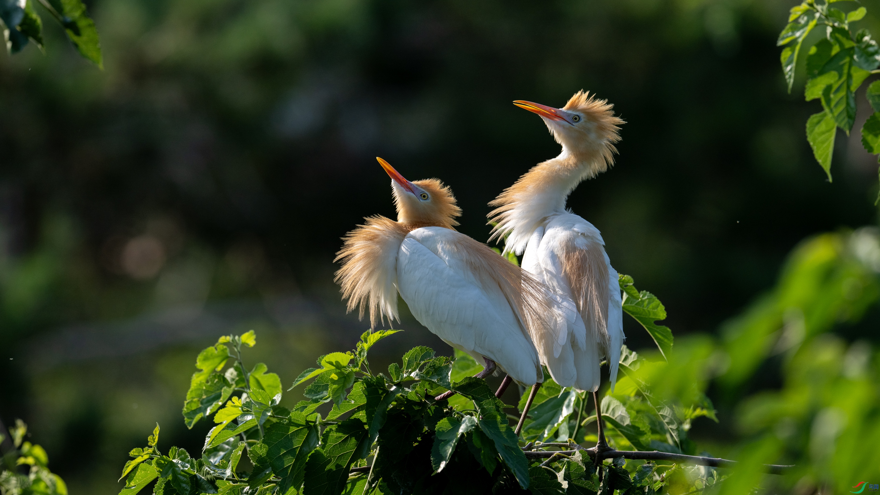 DSC_5558.jpg