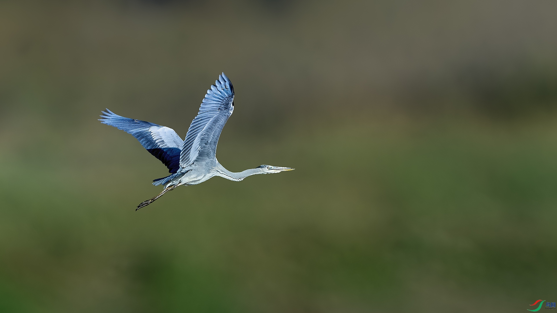 DSC_0587 ����.jpg