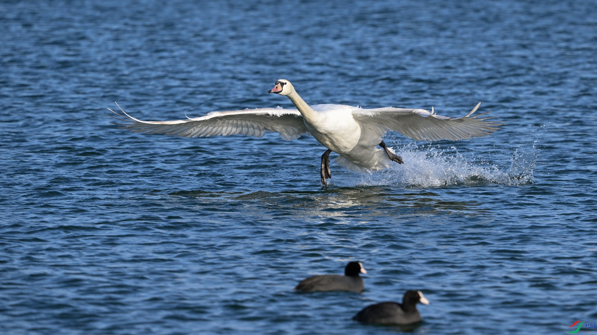 DSC_5162sen2025-2-12-17.jpg